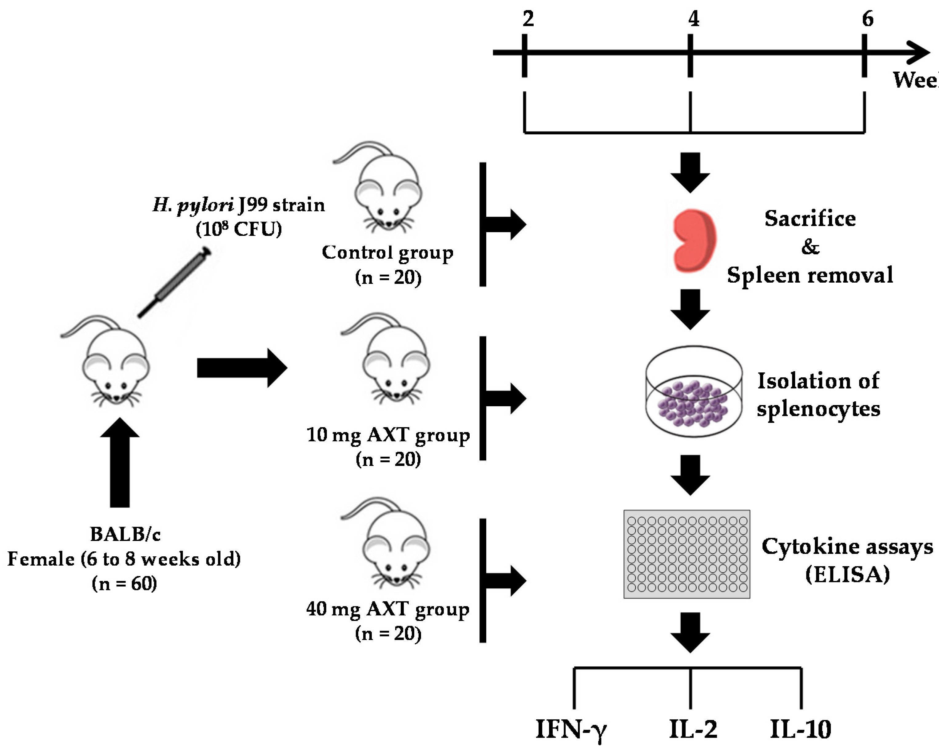 Marinedrugs 17 00382 g002