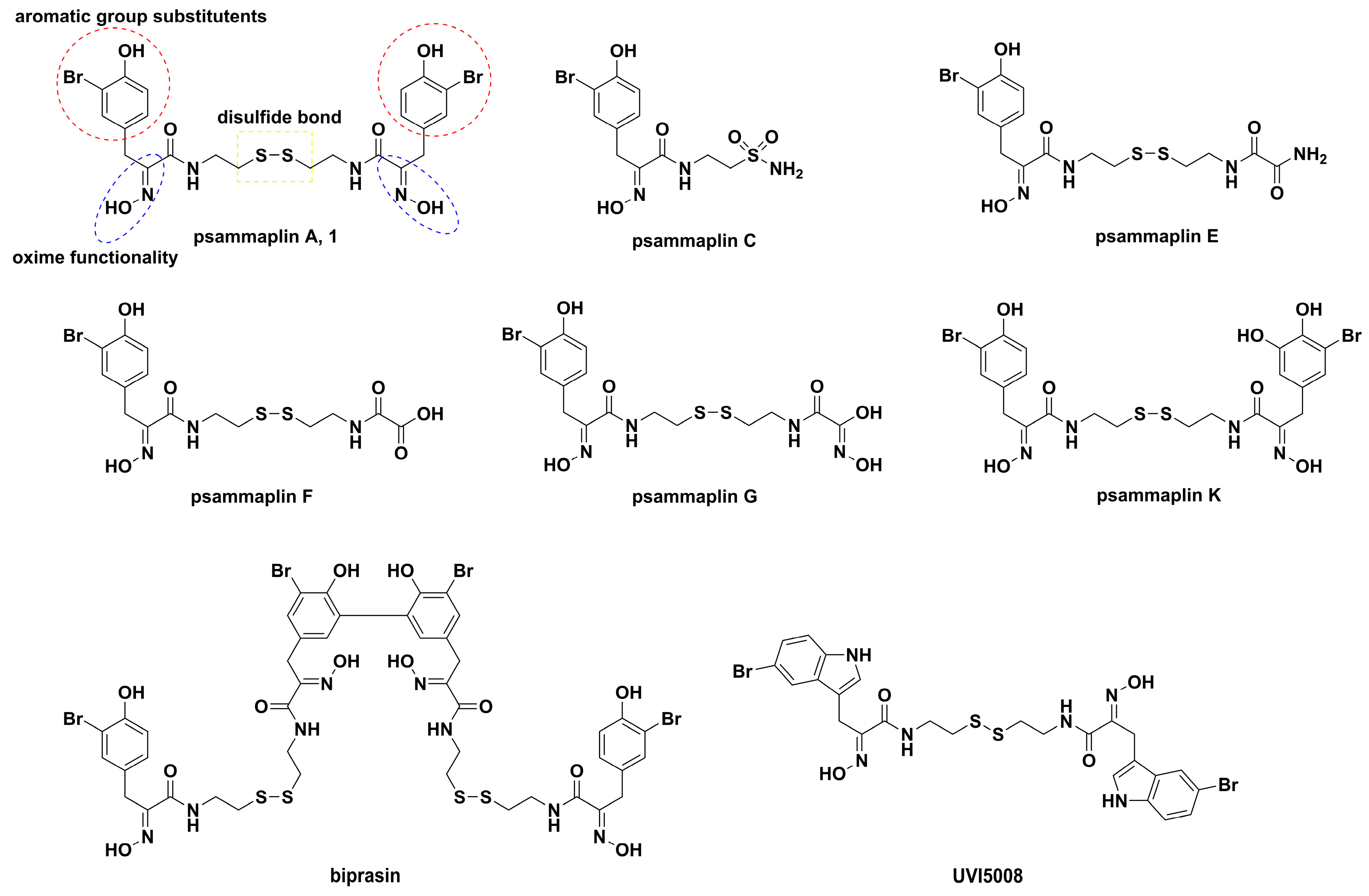 Marinedrugs 17 00384 g001