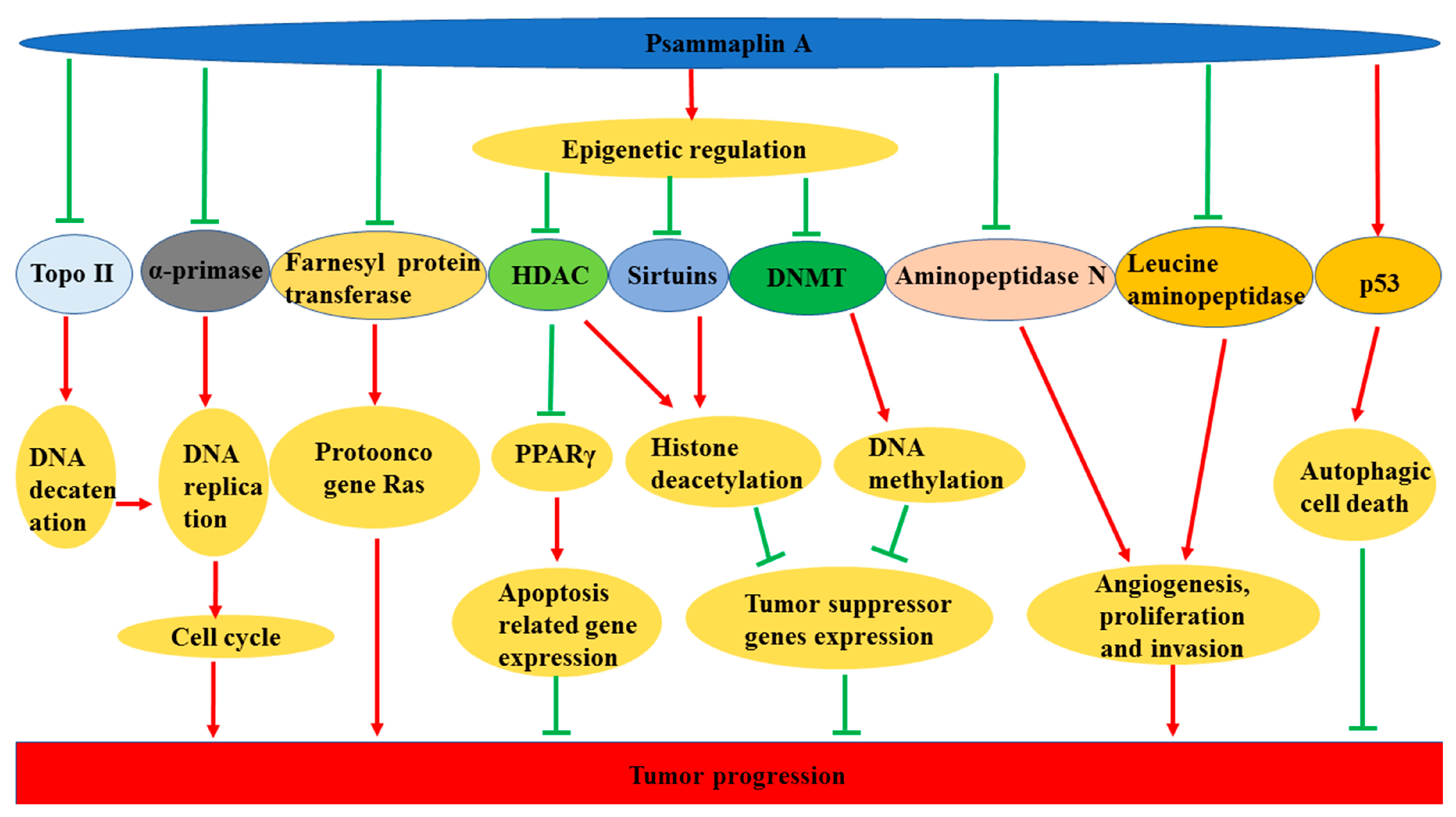 Marinedrugs 17 00384 g003