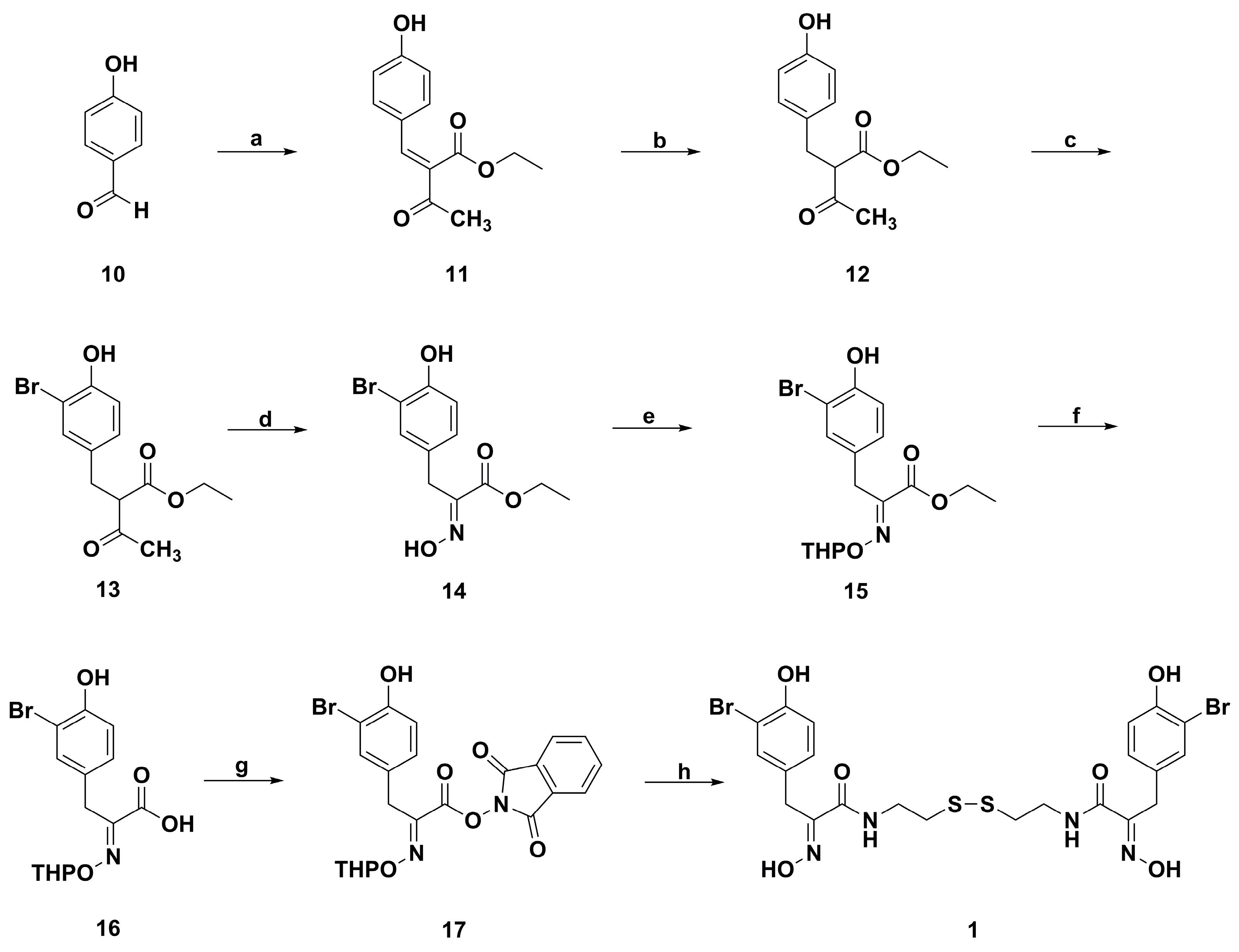 Marinedrugs 17 00384 sch003