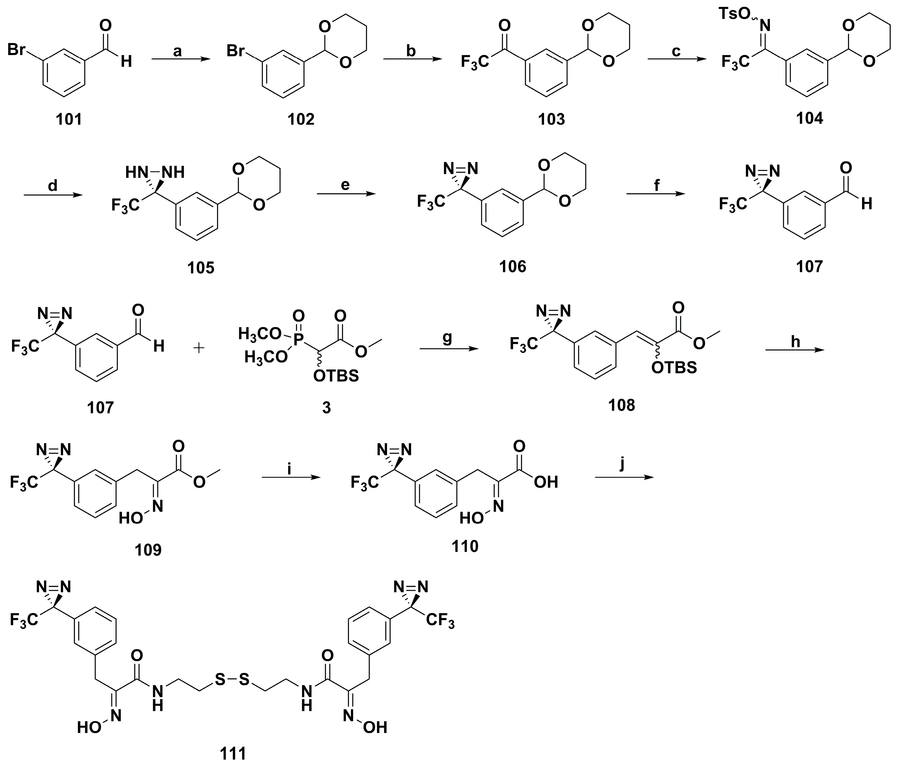 Marinedrugs 17 00384 sch007