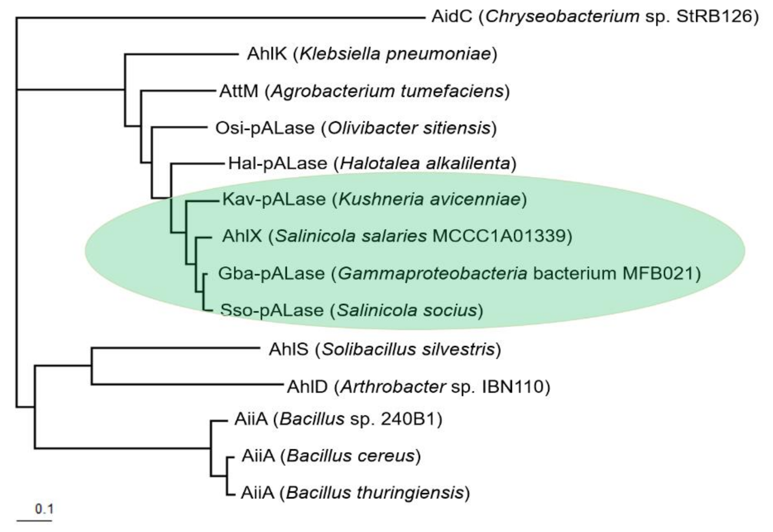 Marinedrugs 17 00387 g001