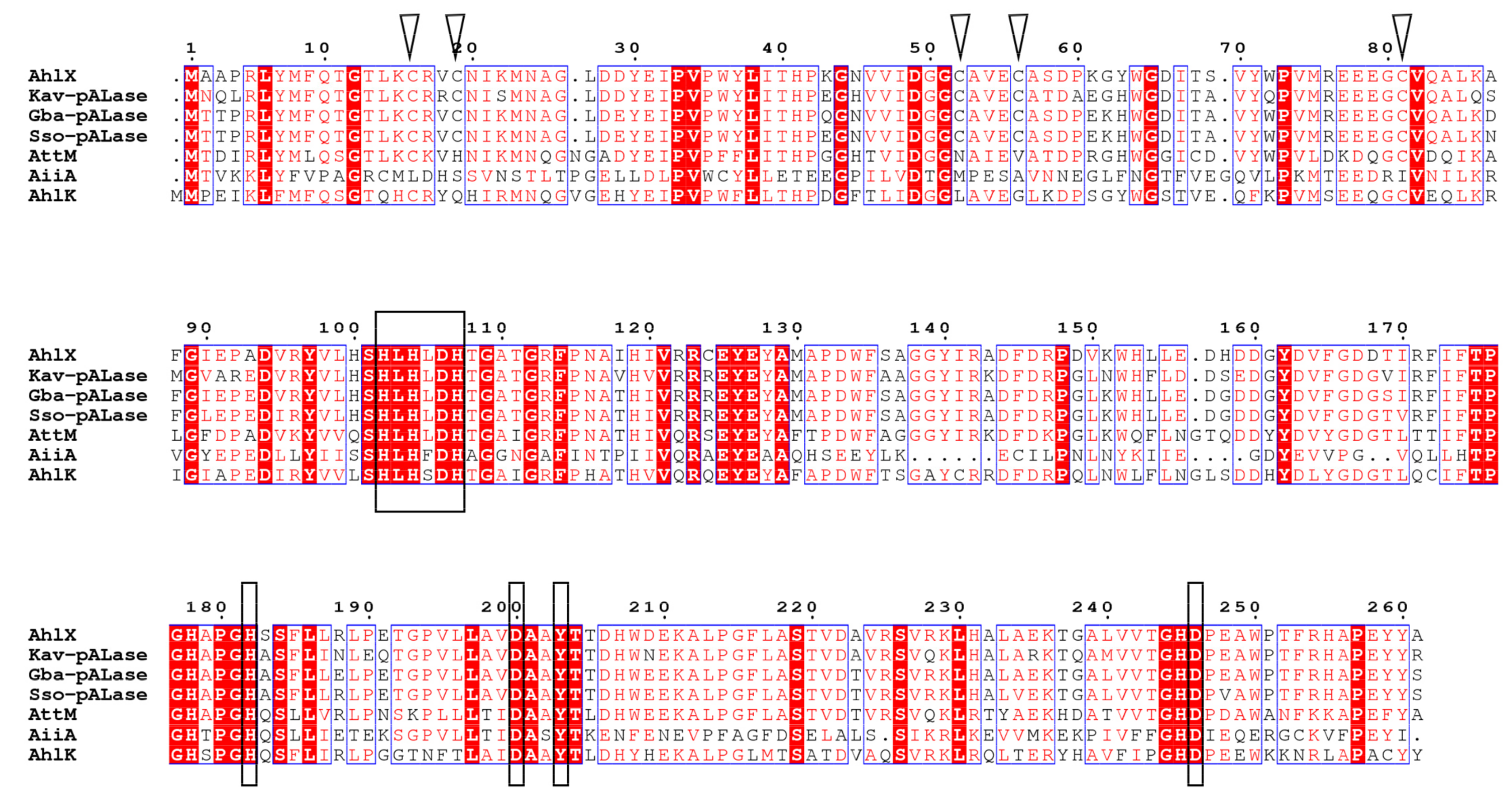 Marinedrugs 17 00387 g002