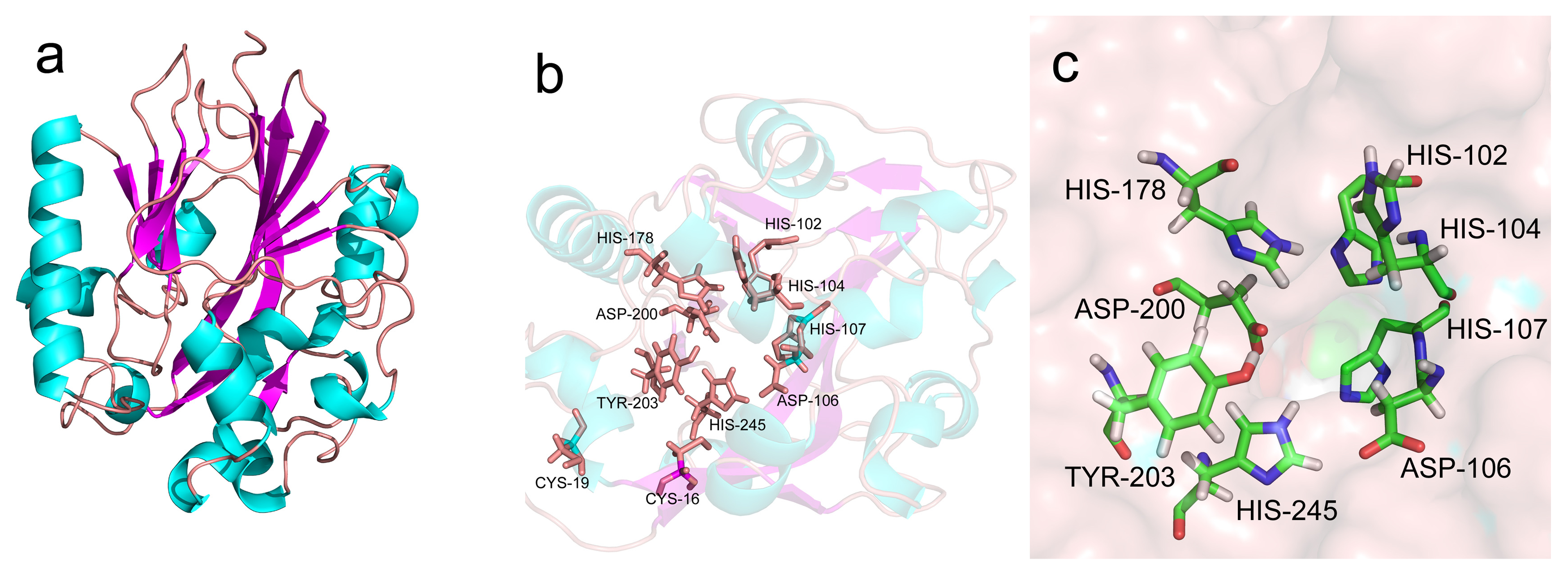 Marinedrugs 17 00387 g003