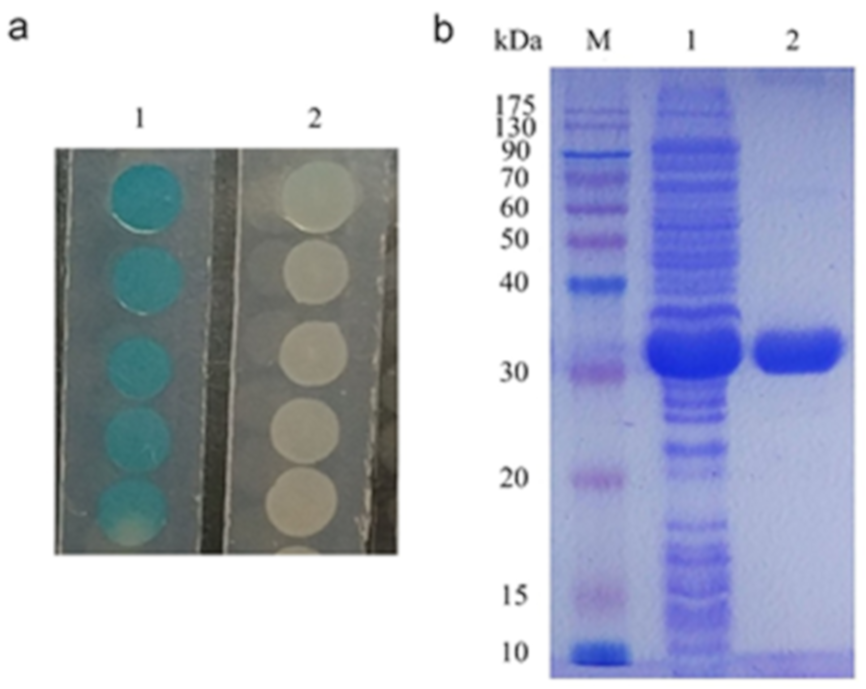 Marinedrugs 17 00387 g004