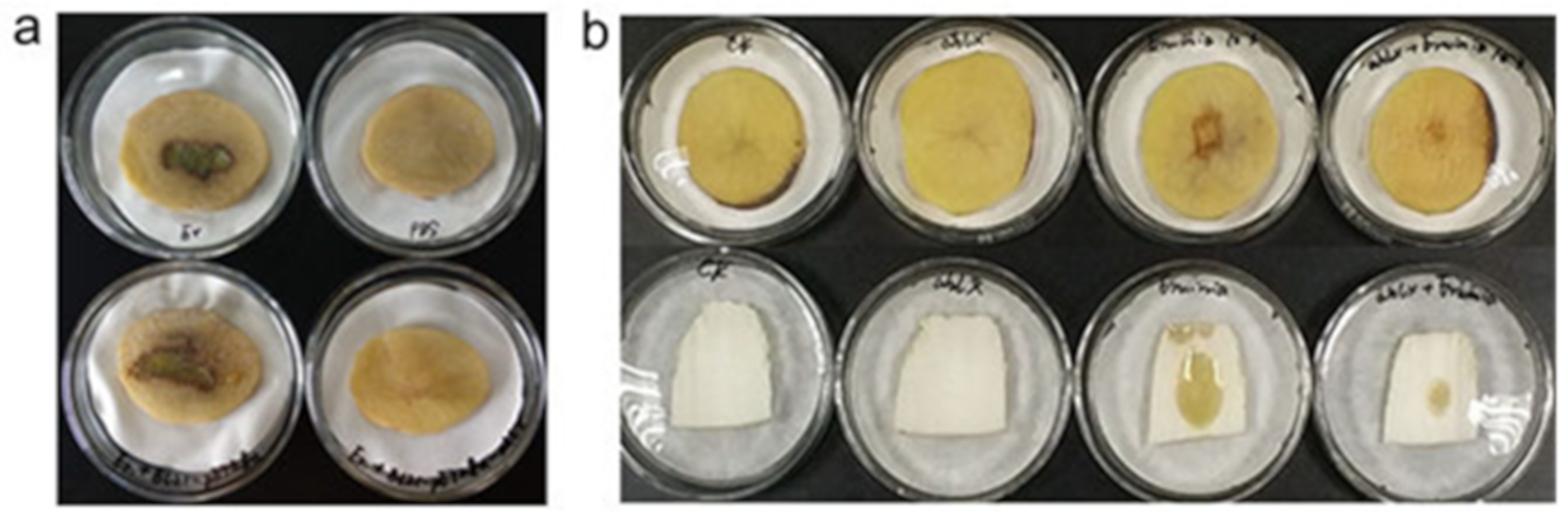 Marinedrugs 17 00387 g008