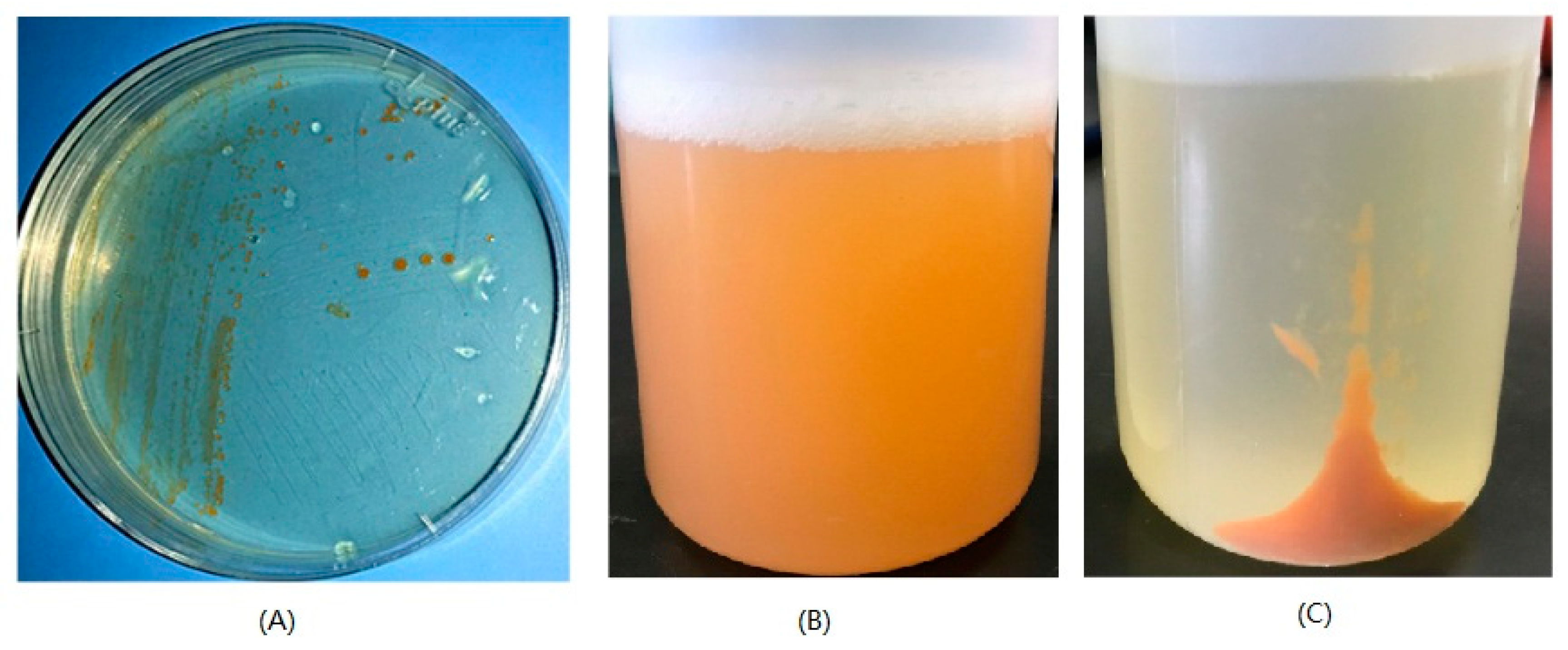 Marinedrugs 17 00388 g006 Marinedrugs 17 00388 g006