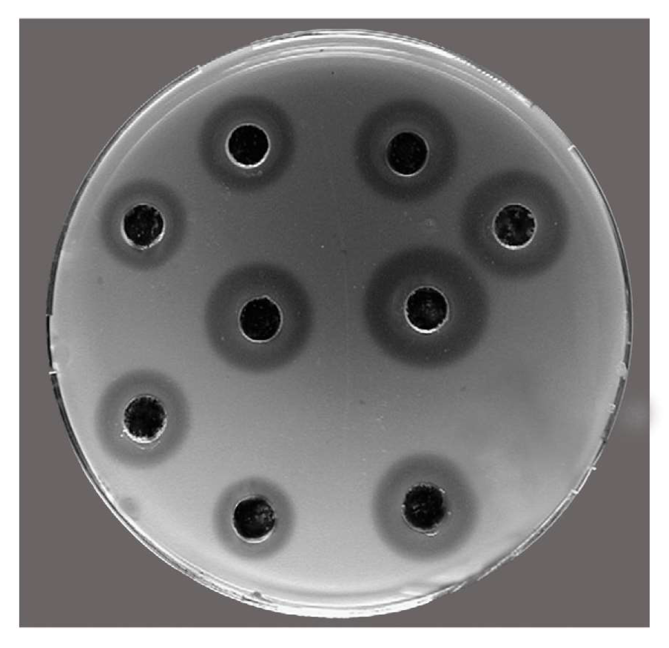 Marinedrugs 17 00396 g008