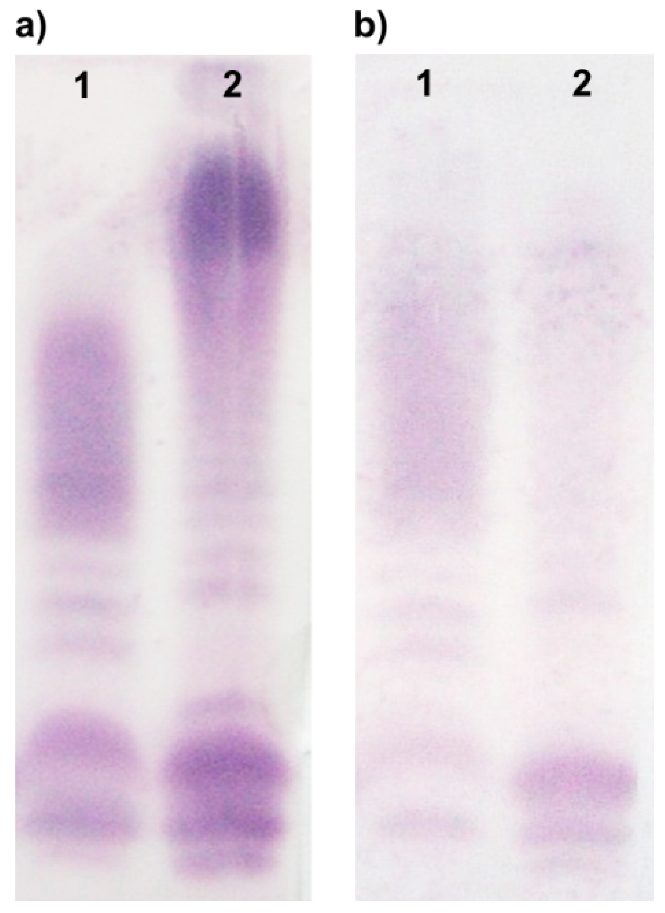 Marinedrugs 17 00399 g002