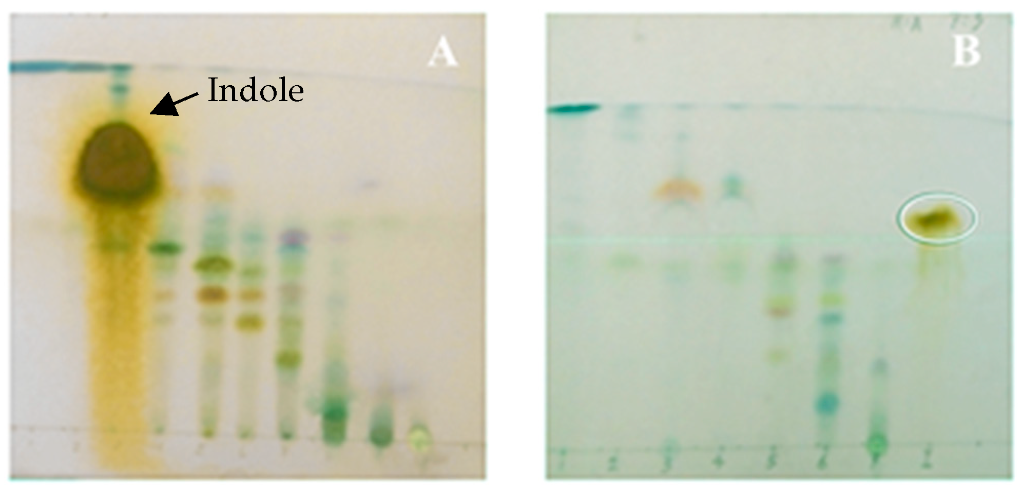 Marinedrugs 17 00401 g001