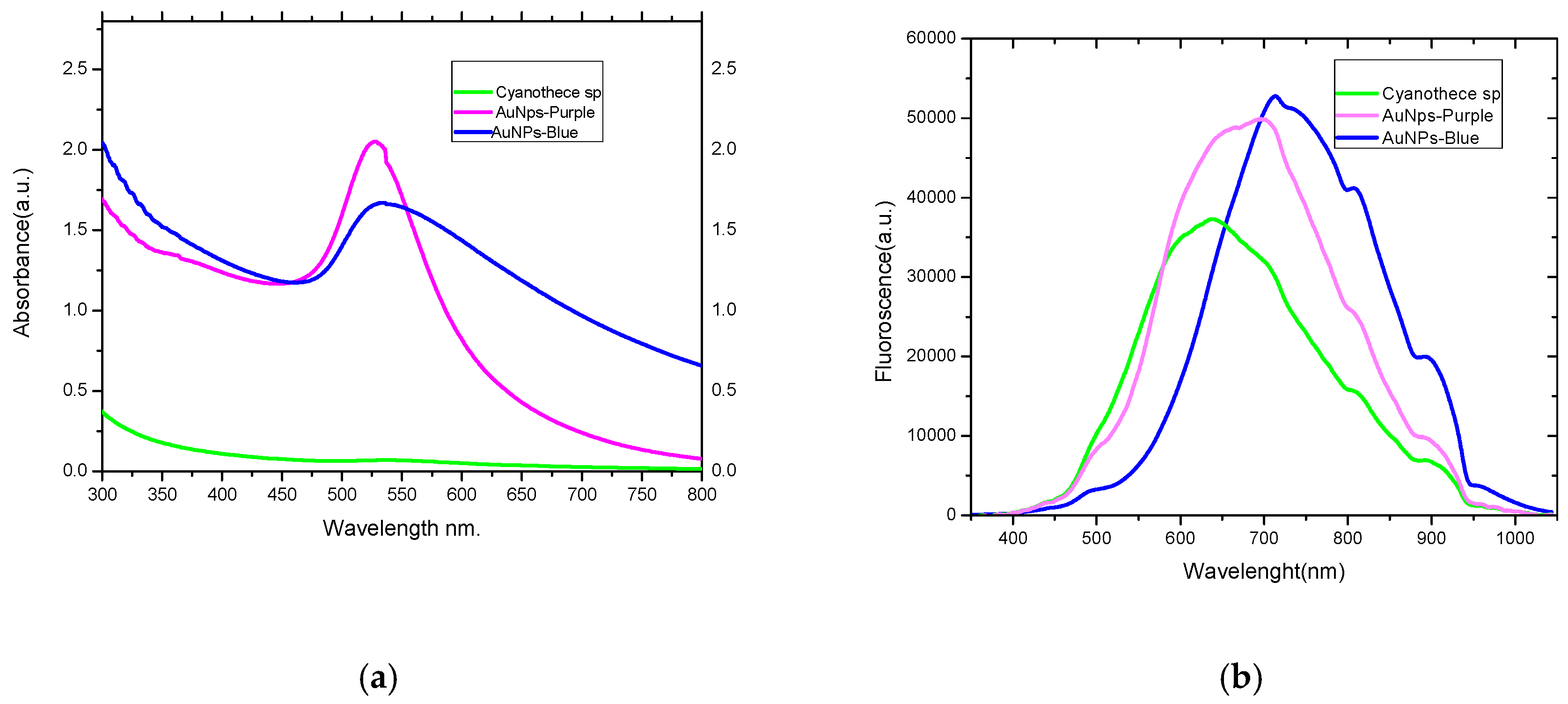 Marinedrugs 17 00402 g001