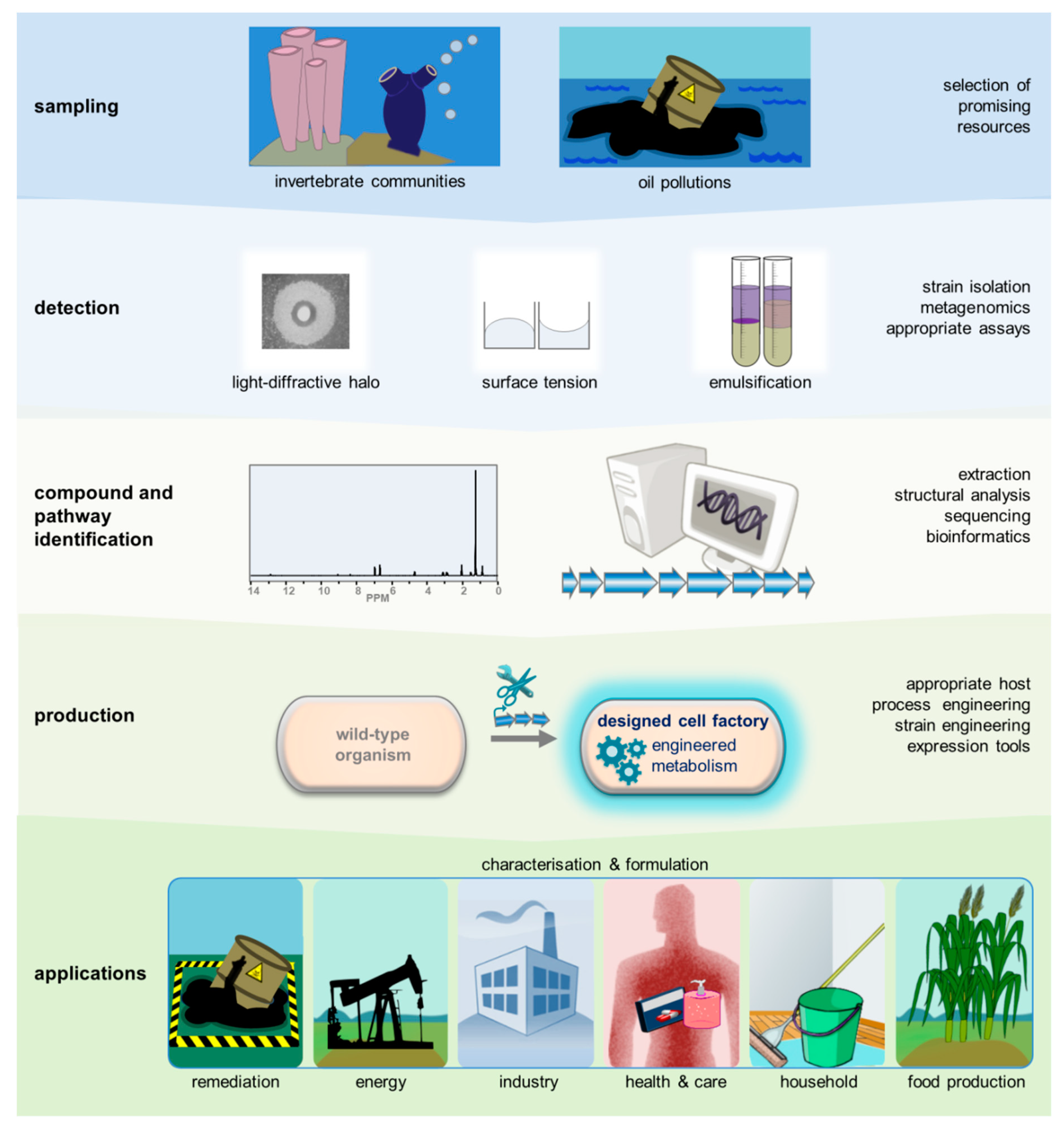 Marinedrugs 17 00408 g003