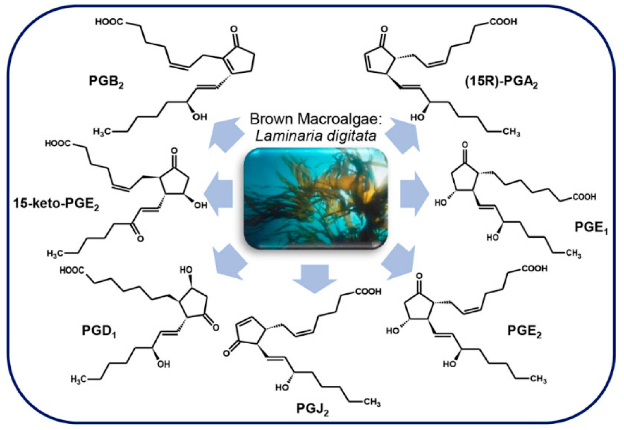 Marinedrugs 17 00428 g007