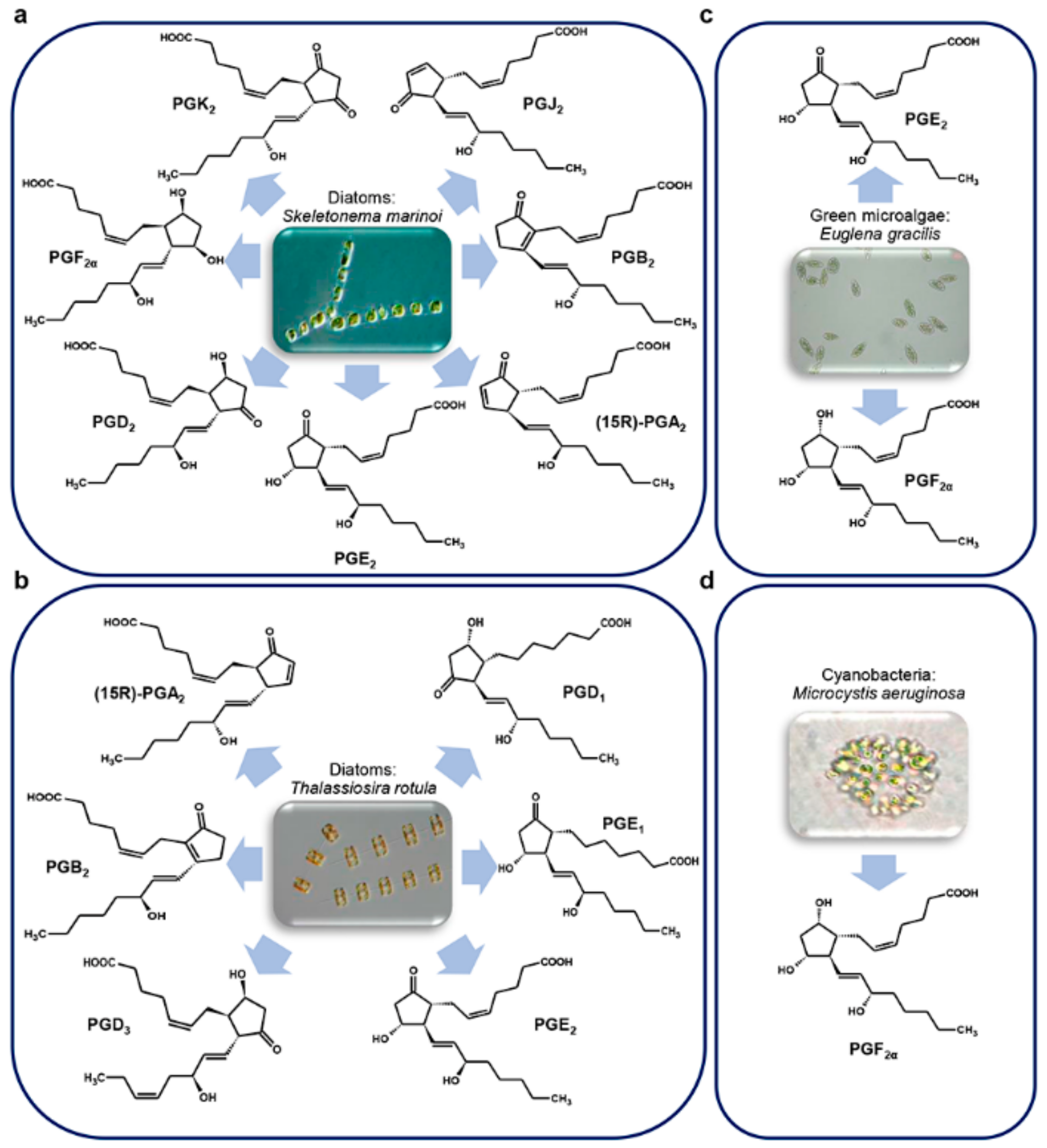 Marinedrugs 17 00428 g008