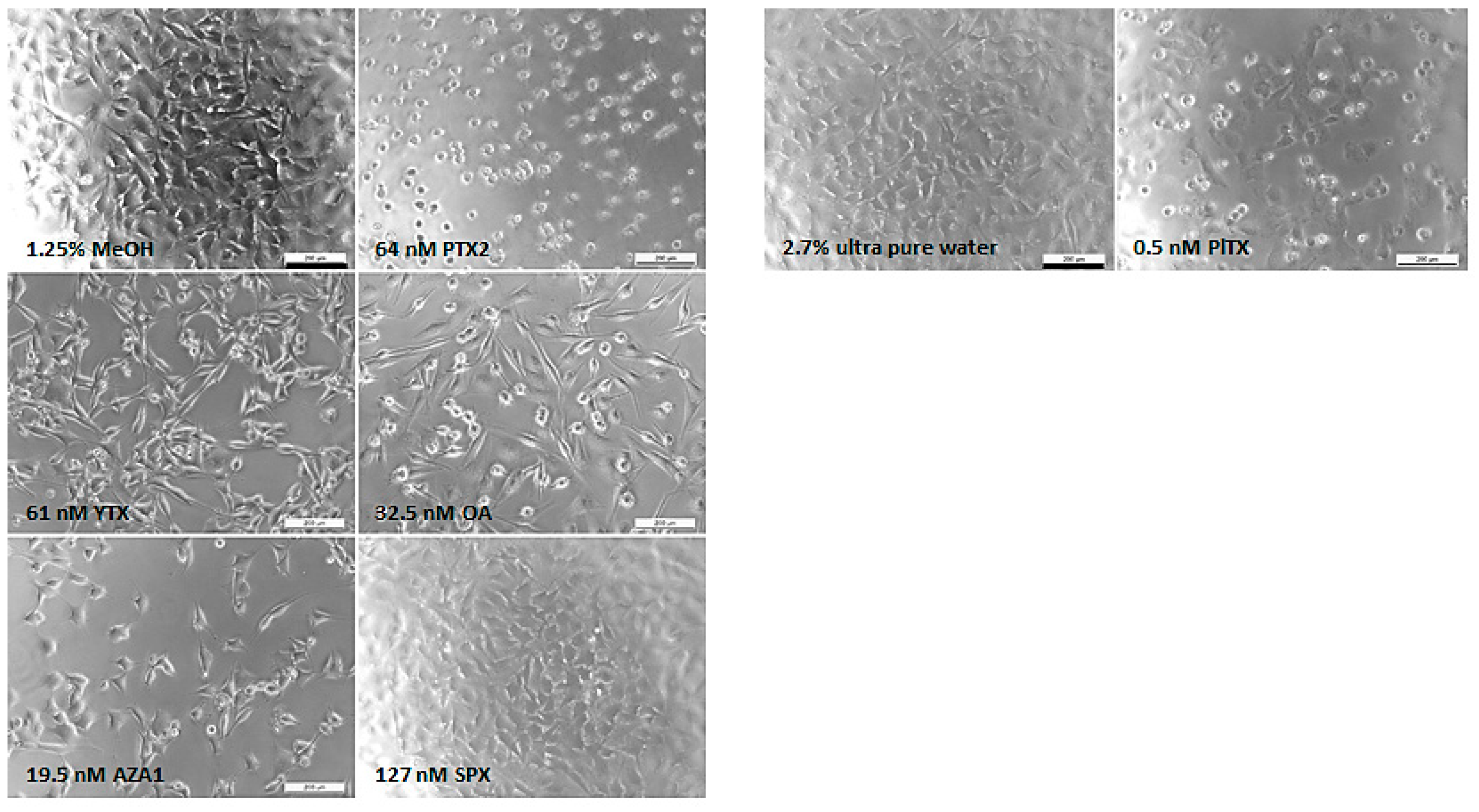 Marinedrugs 17 00429 g002