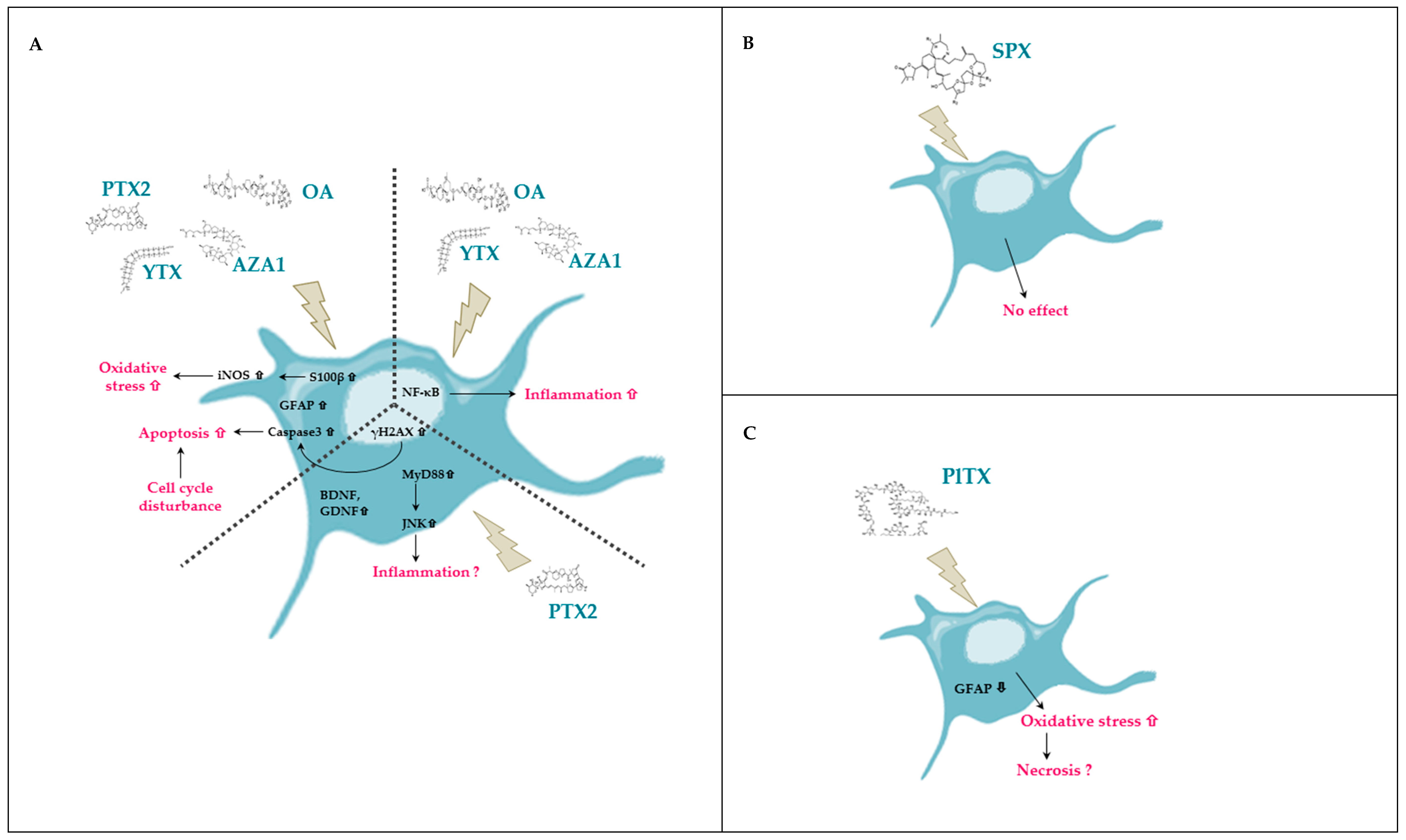 Marinedrugs 17 00429 g010
