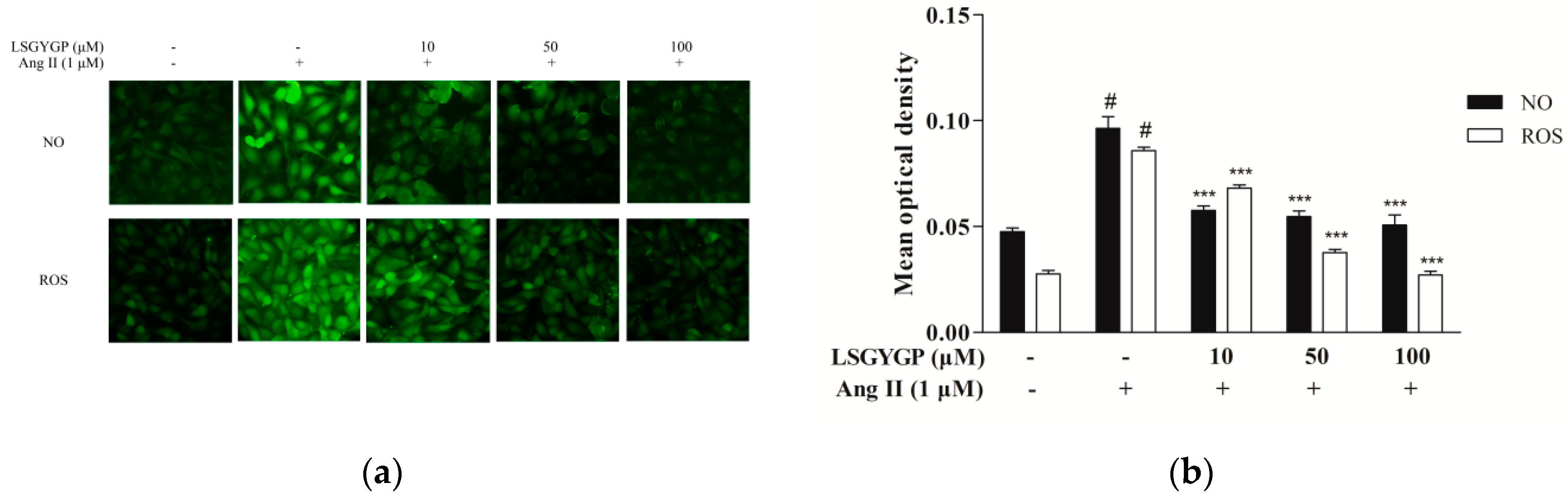 Marinedrugs 17 00431 g002