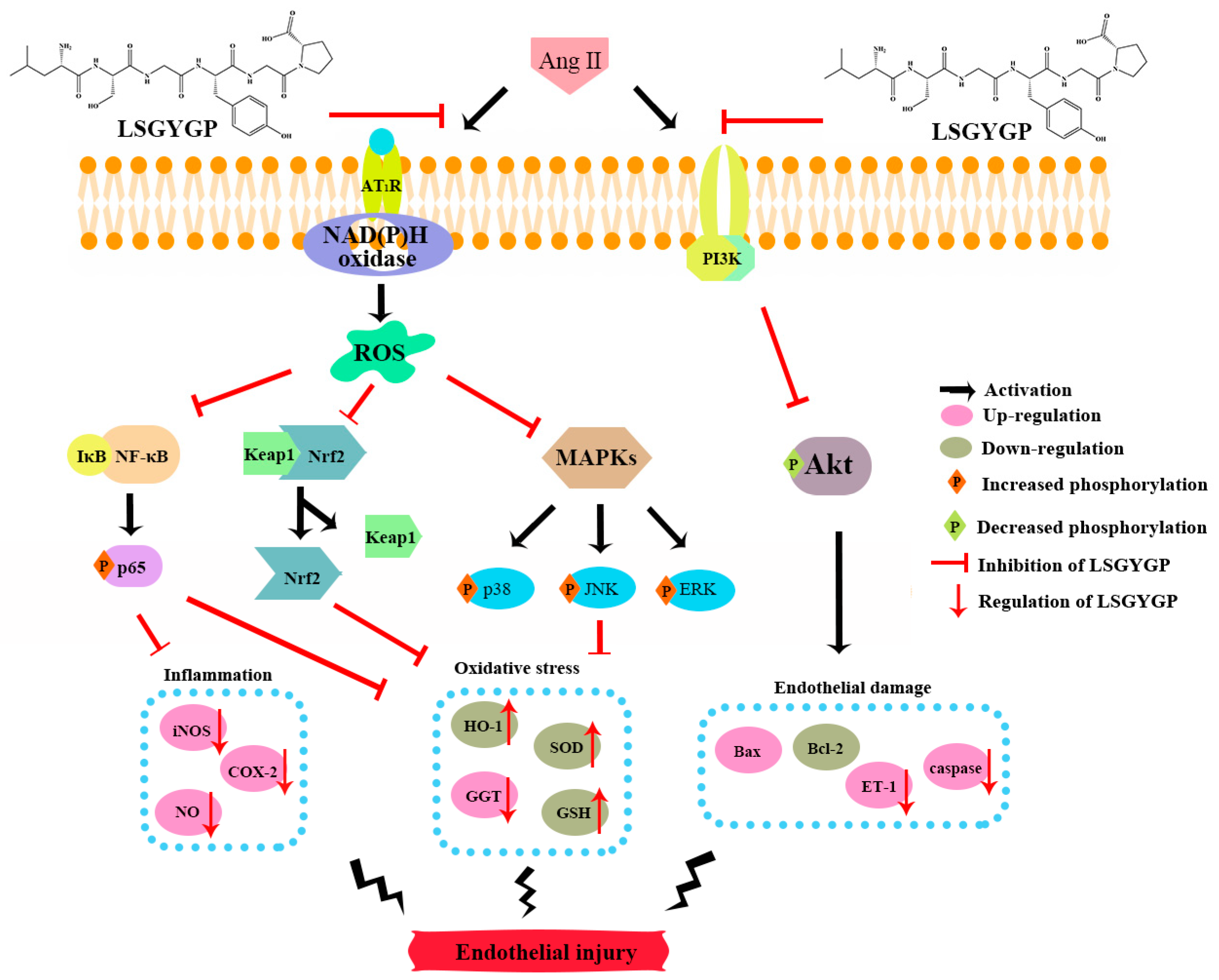 Marinedrugs 17 00431 g009