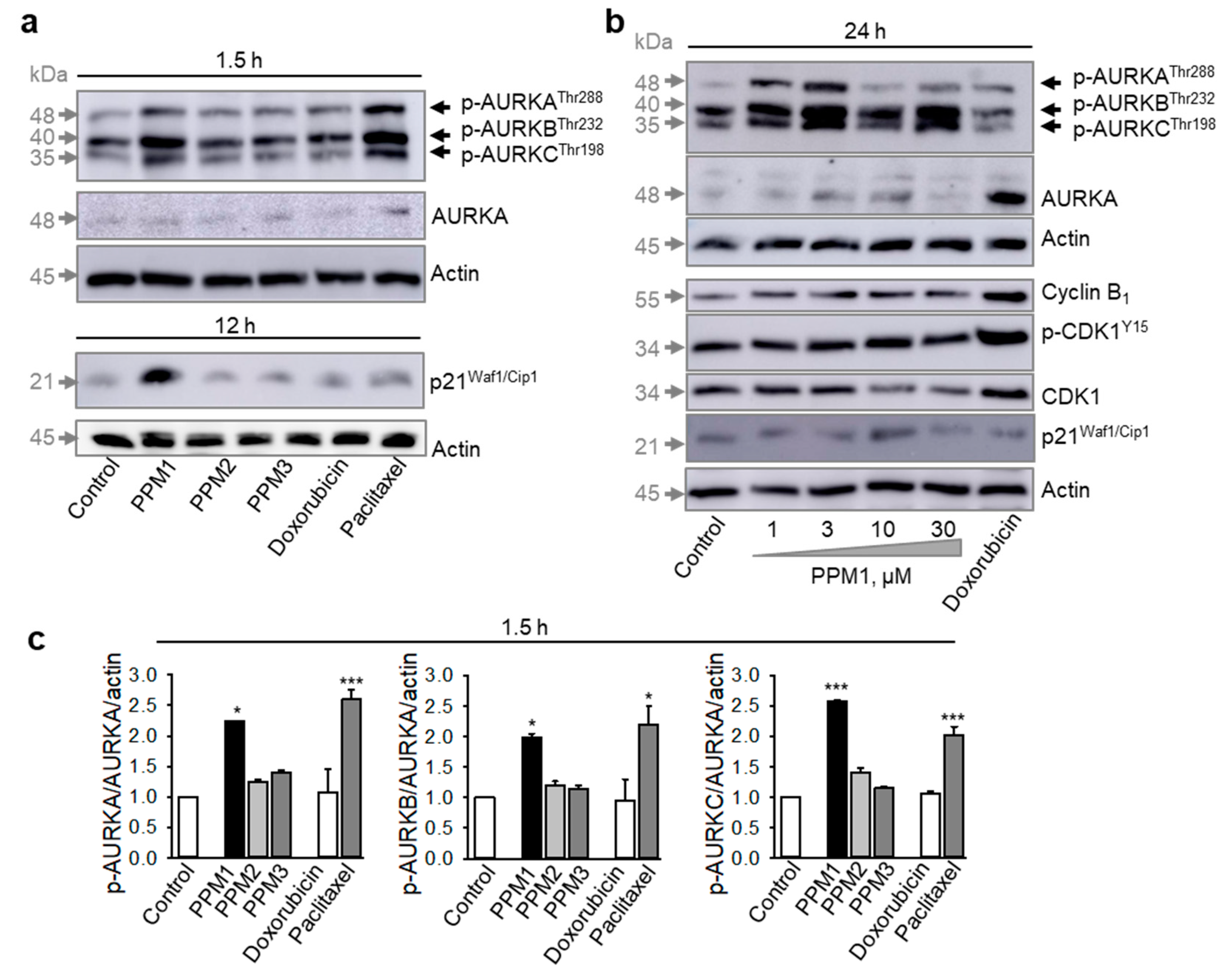 Marinedrugs 17 00437 g003