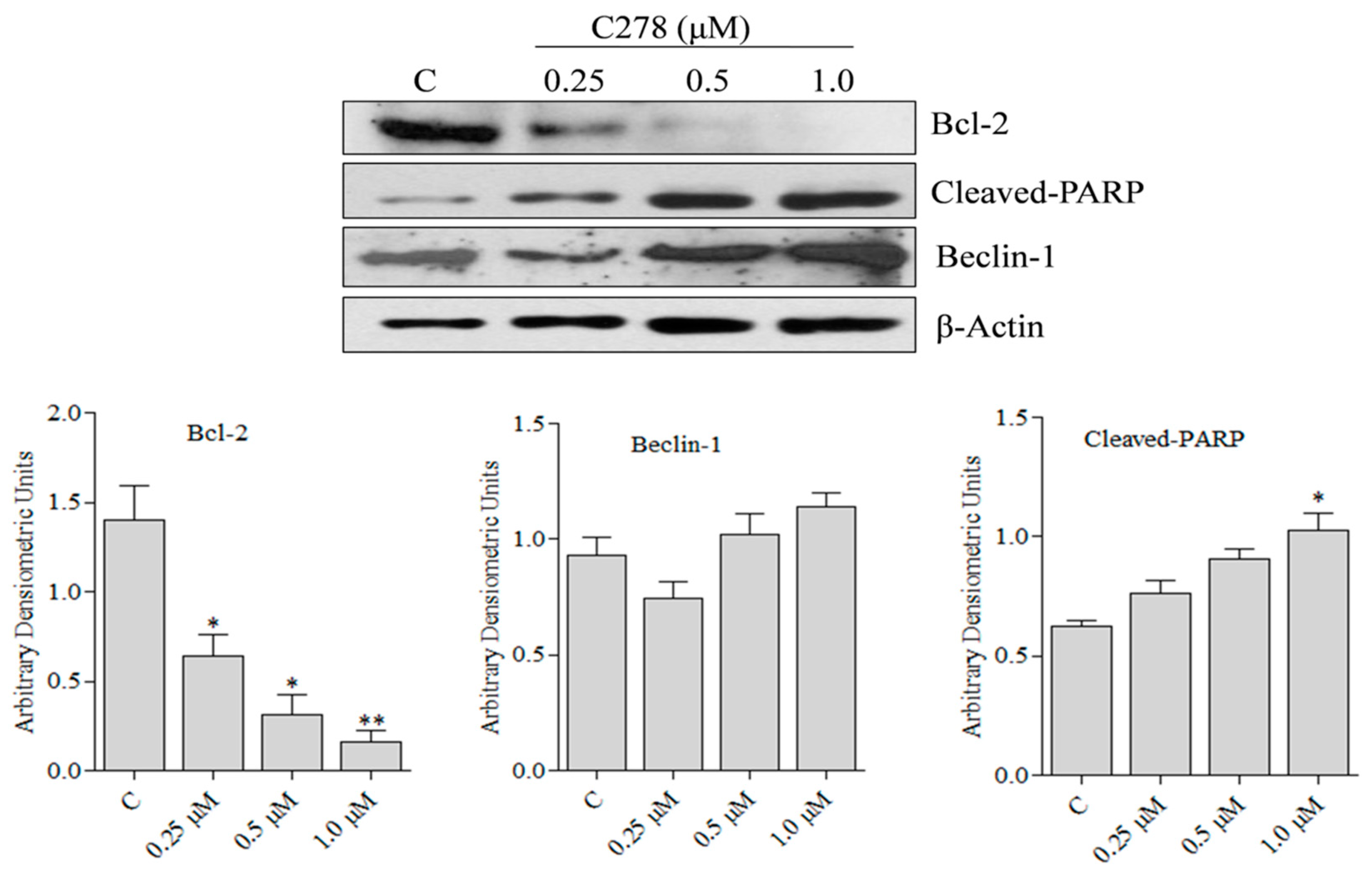 Marinedrugs 17 00443 g005 Marinedrugs 17 00443 g005