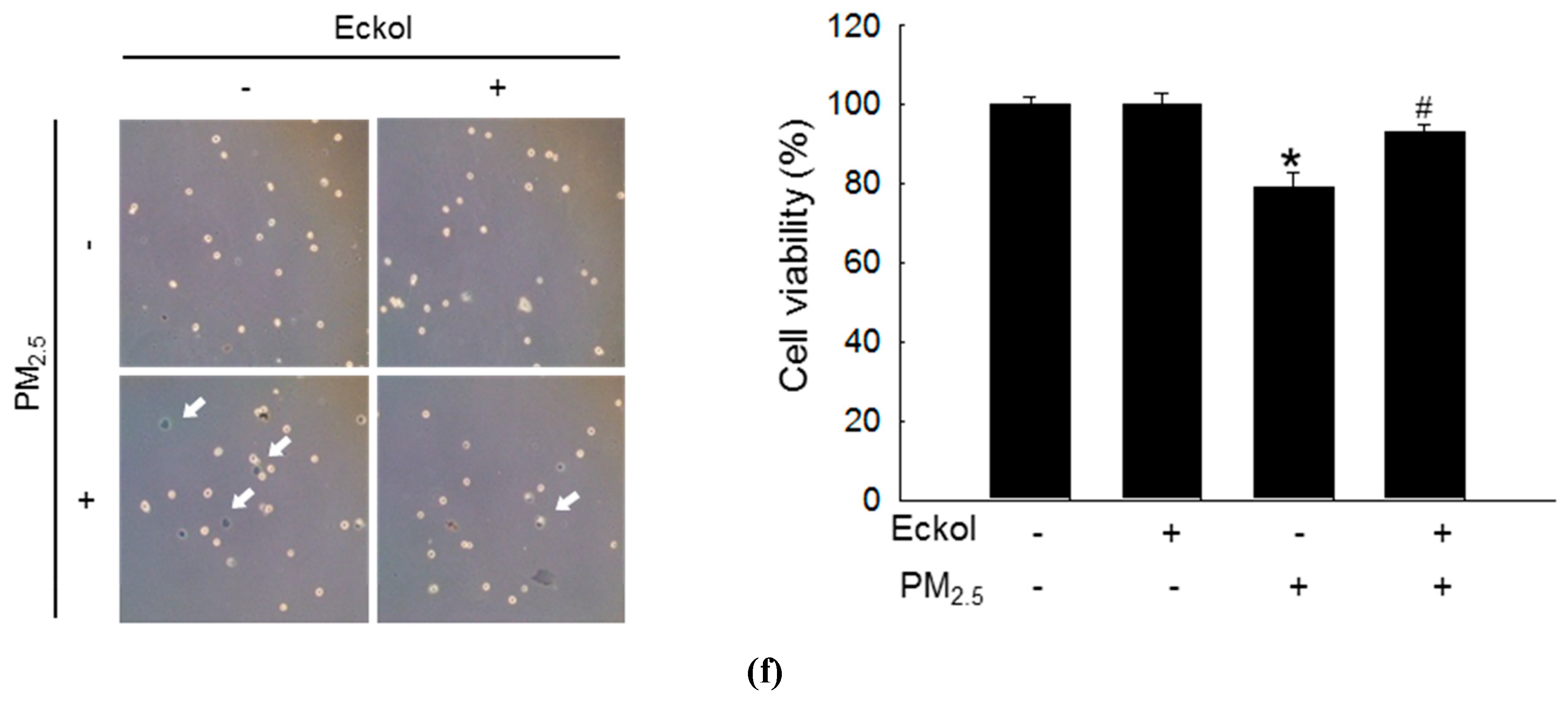 Marinedrugs 17 00444 g001b