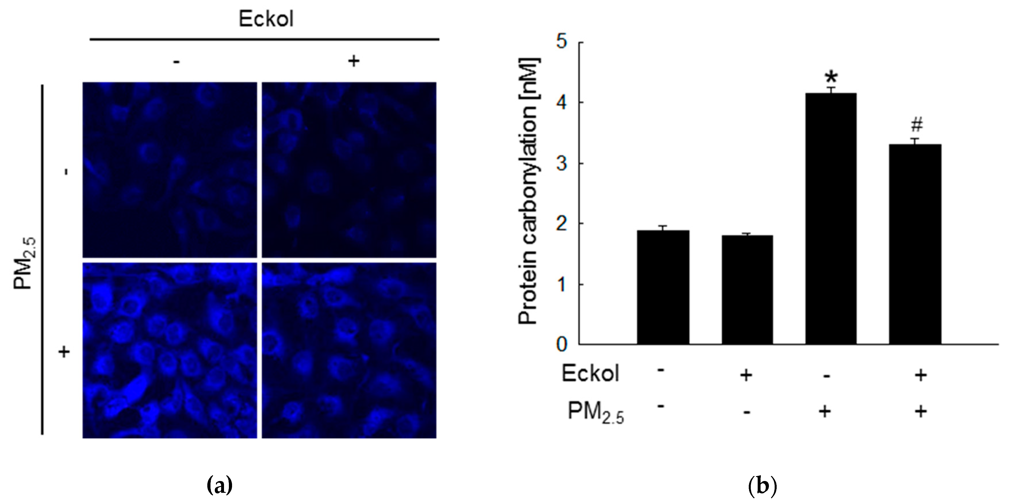 Marinedrugs 17 00444 g002a