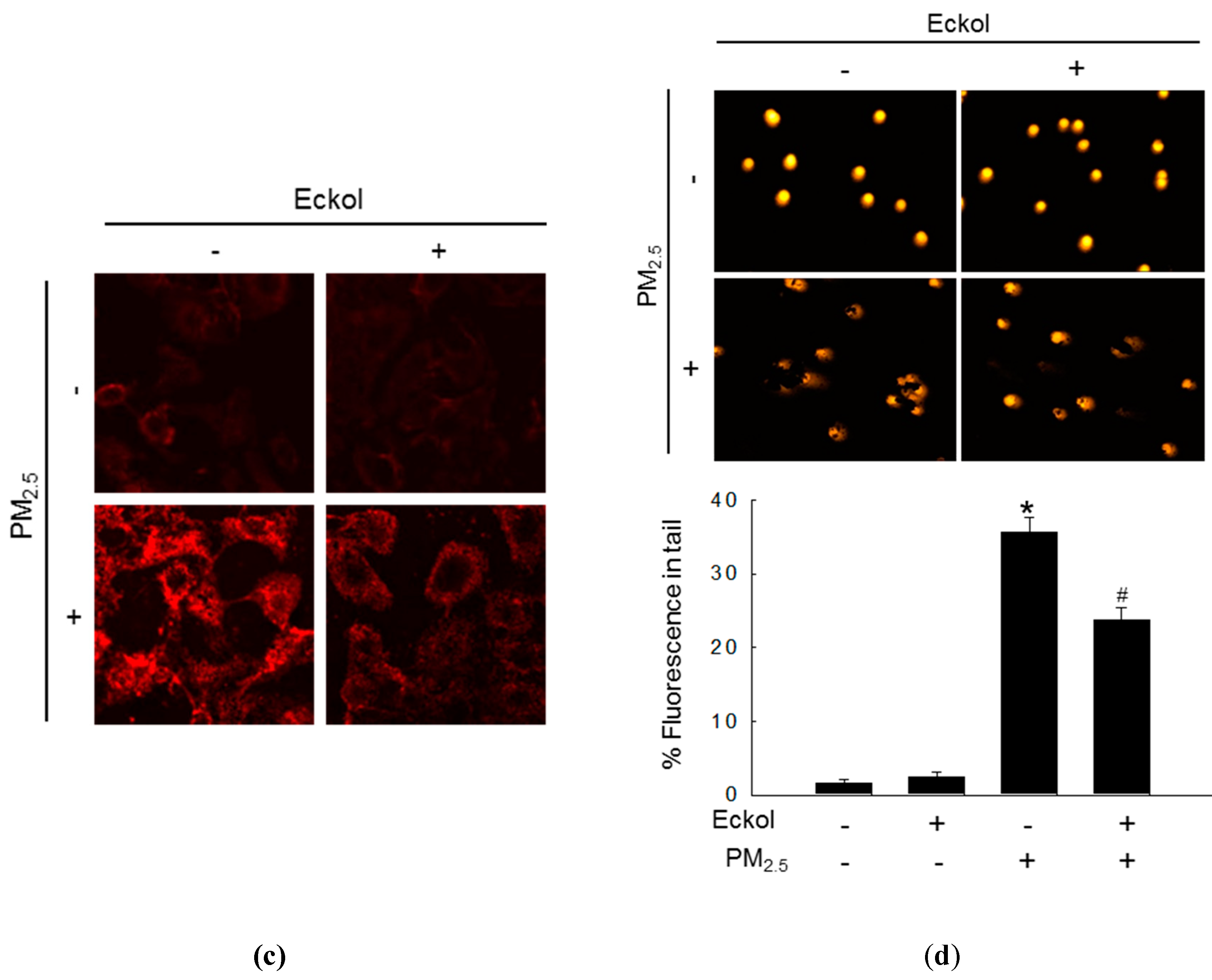 Marinedrugs 17 00444 g002b