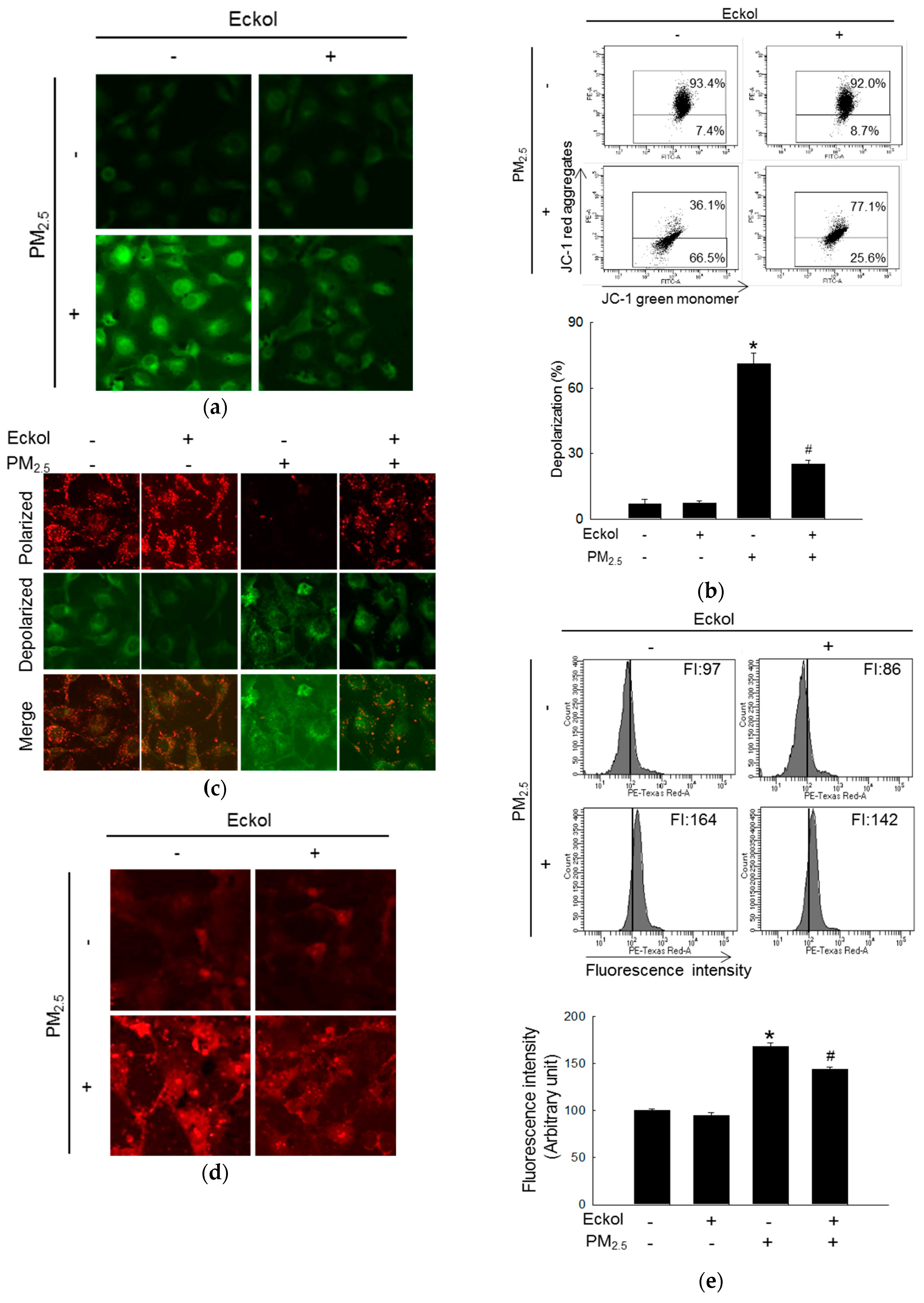 Marinedrugs 17 00444 g003