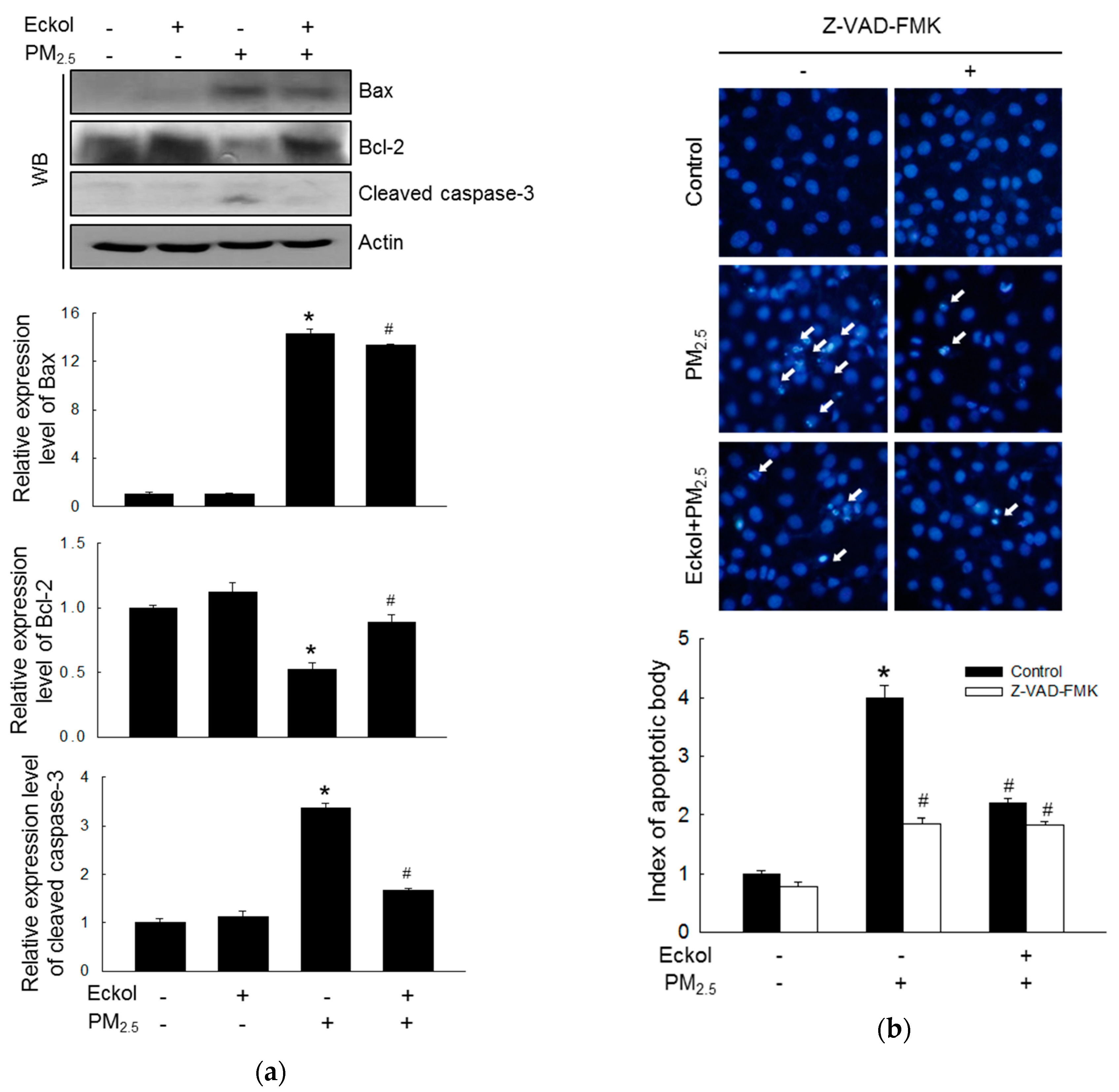 Marinedrugs 17 00444 g004