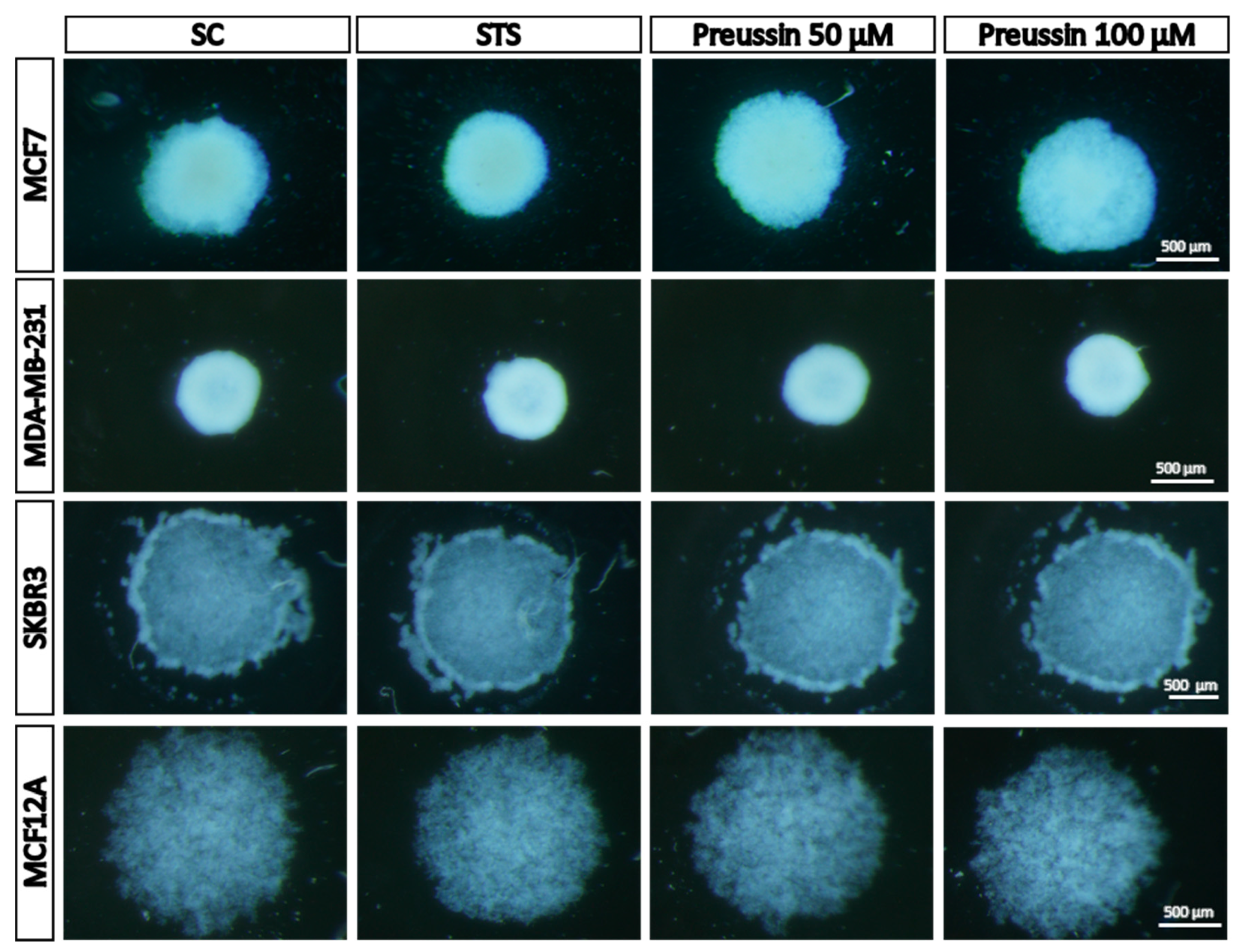 Marinedrugs 17 00448 g008