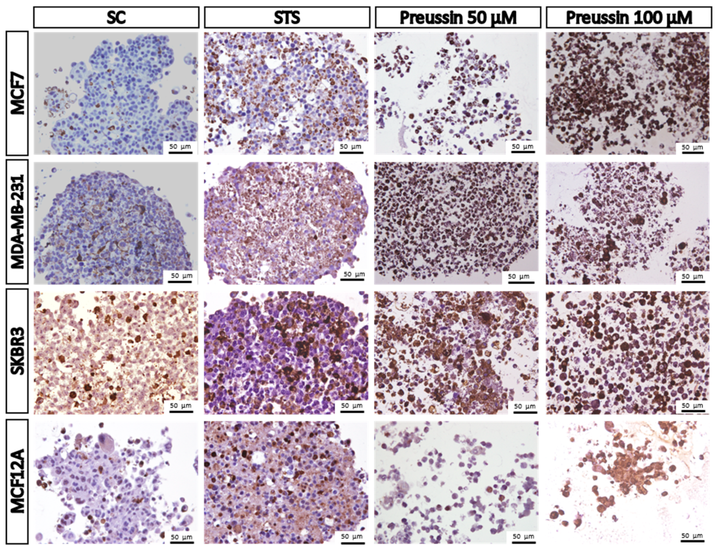 Marinedrugs 17 00448 g011