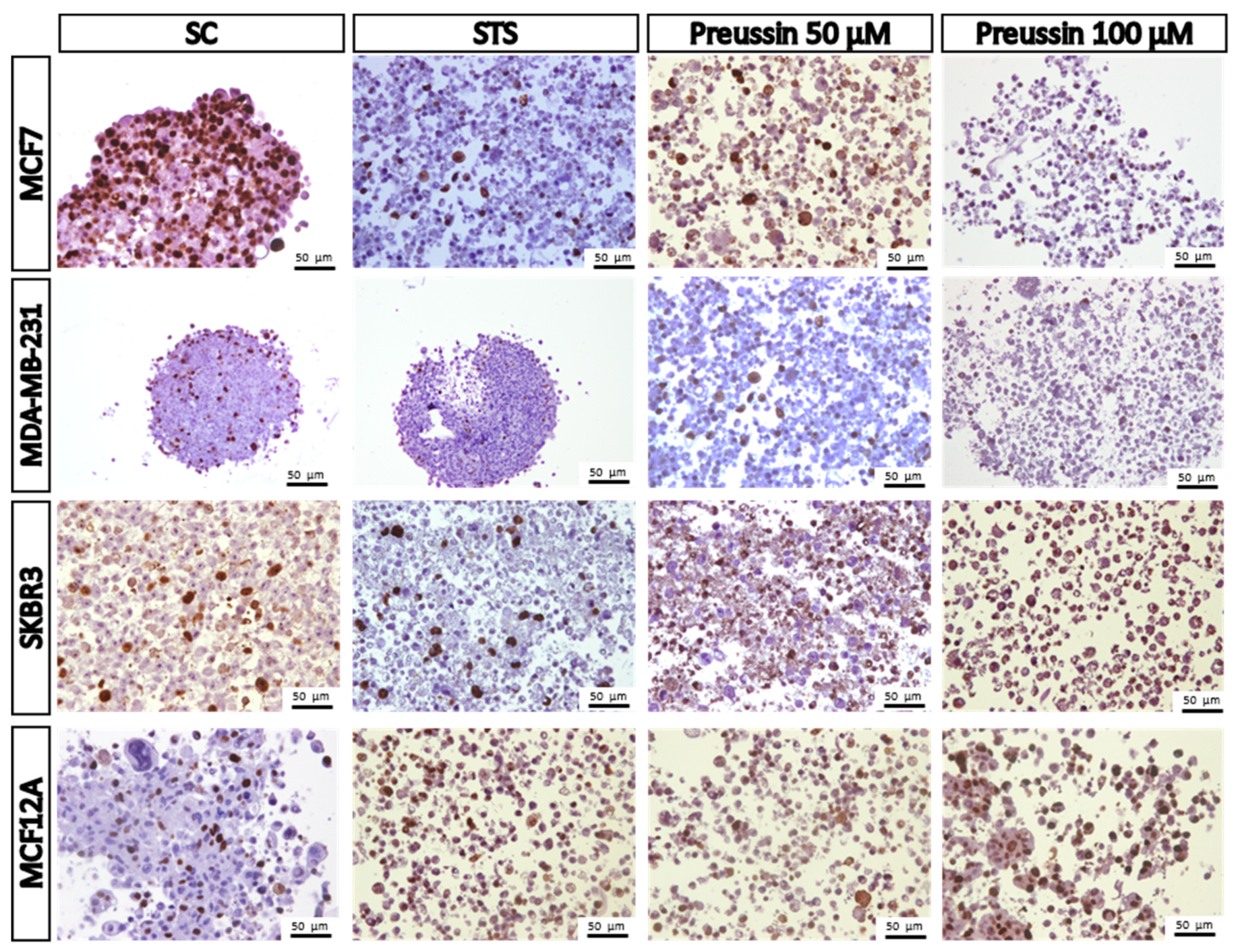 Marinedrugs 17 00448 g012