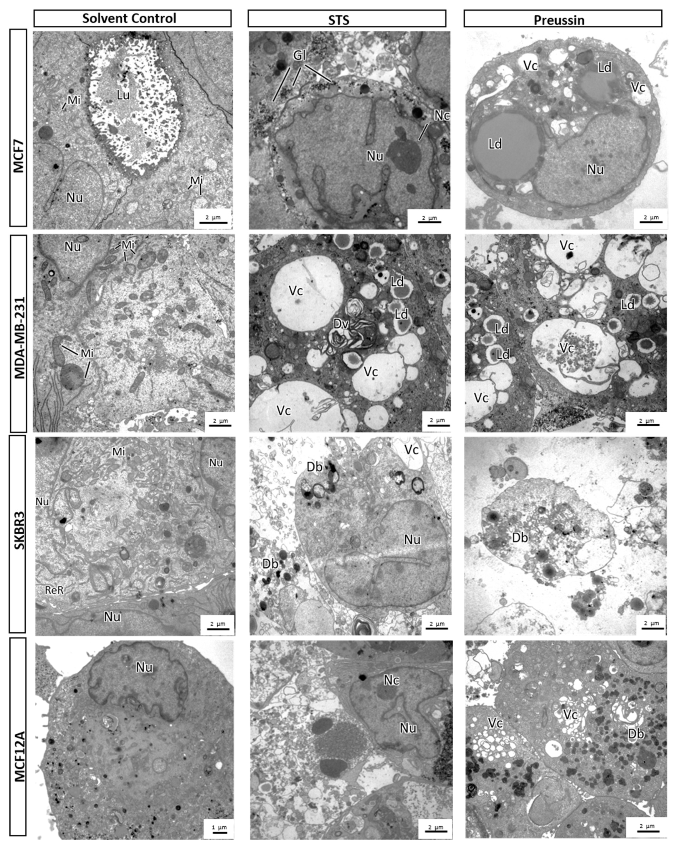 Marinedrugs 17 00448 g013