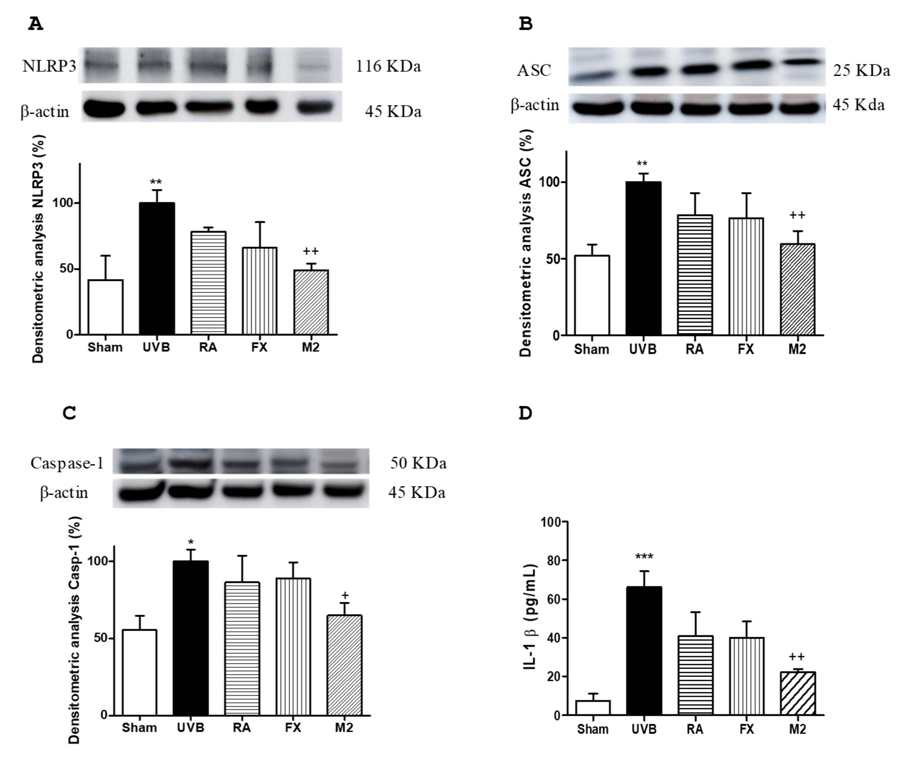 Marinedrugs 17 00451 g003