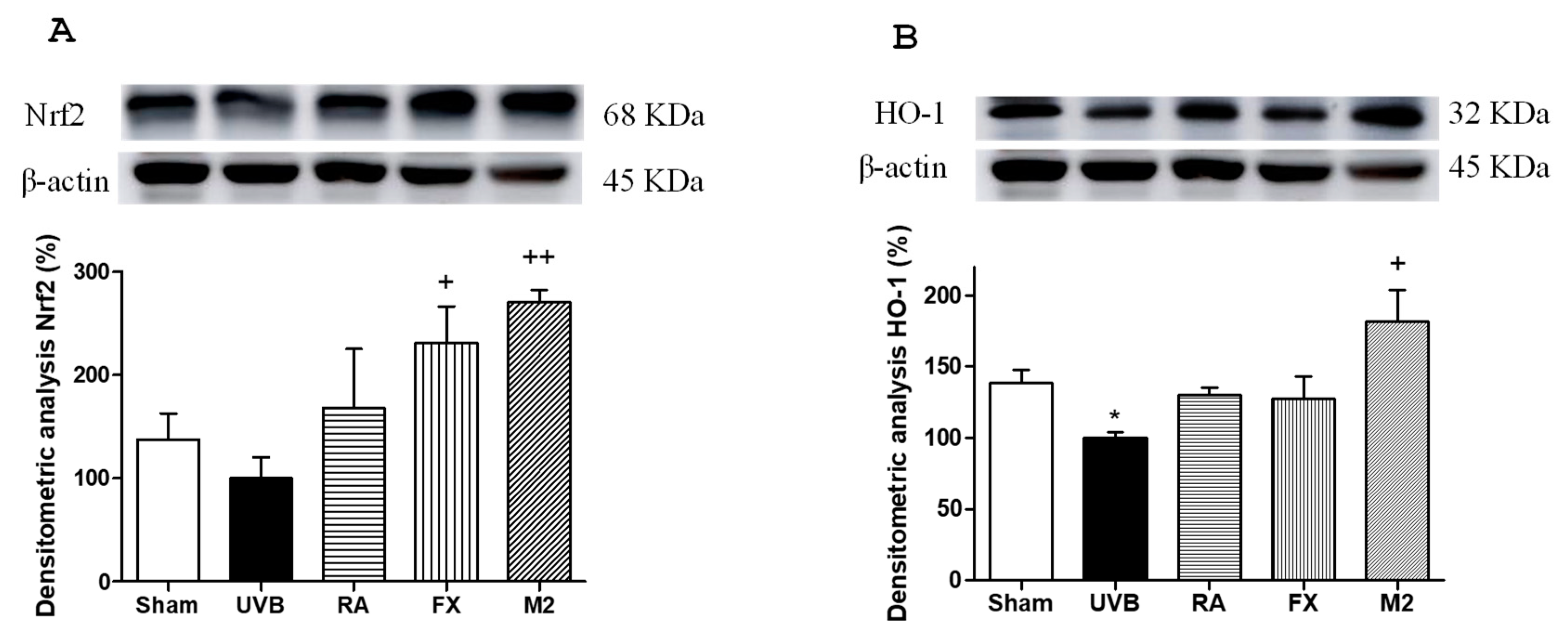 Marinedrugs 17 00451 g004