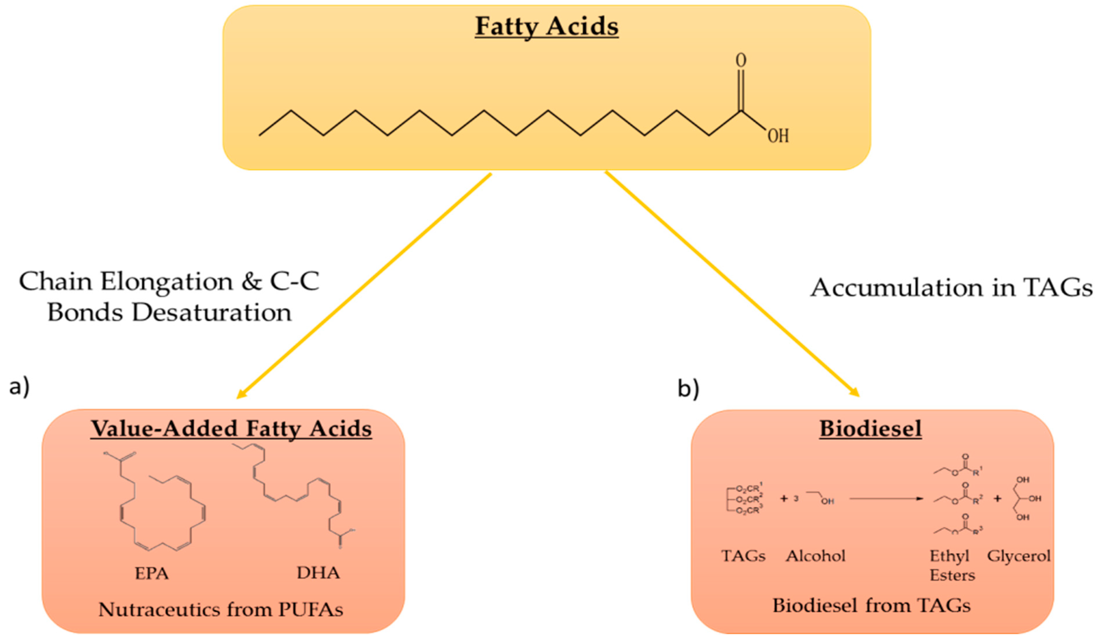 Marinedrugs 17 00459 g002
