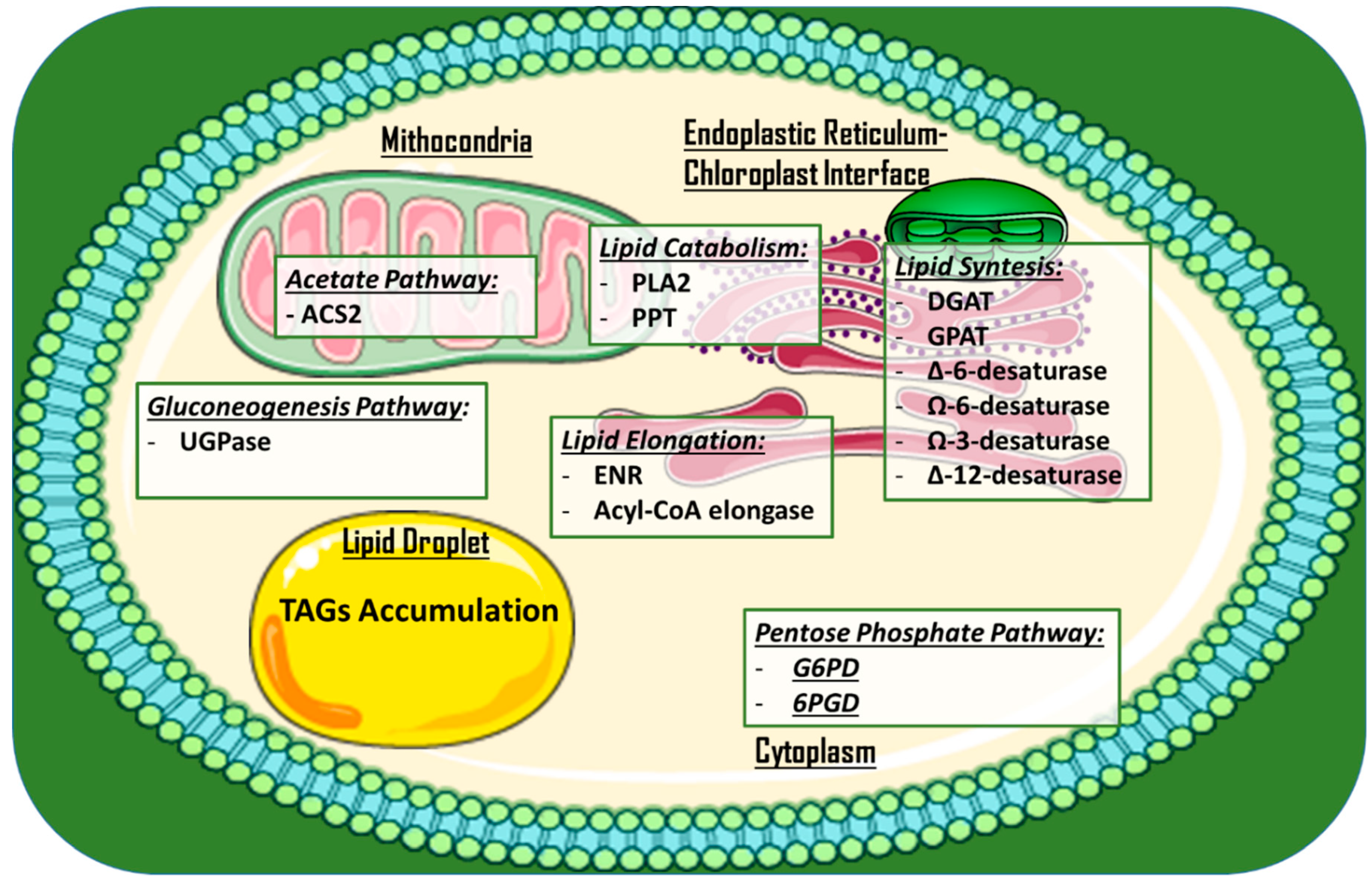 Marinedrugs 17 00459 g003