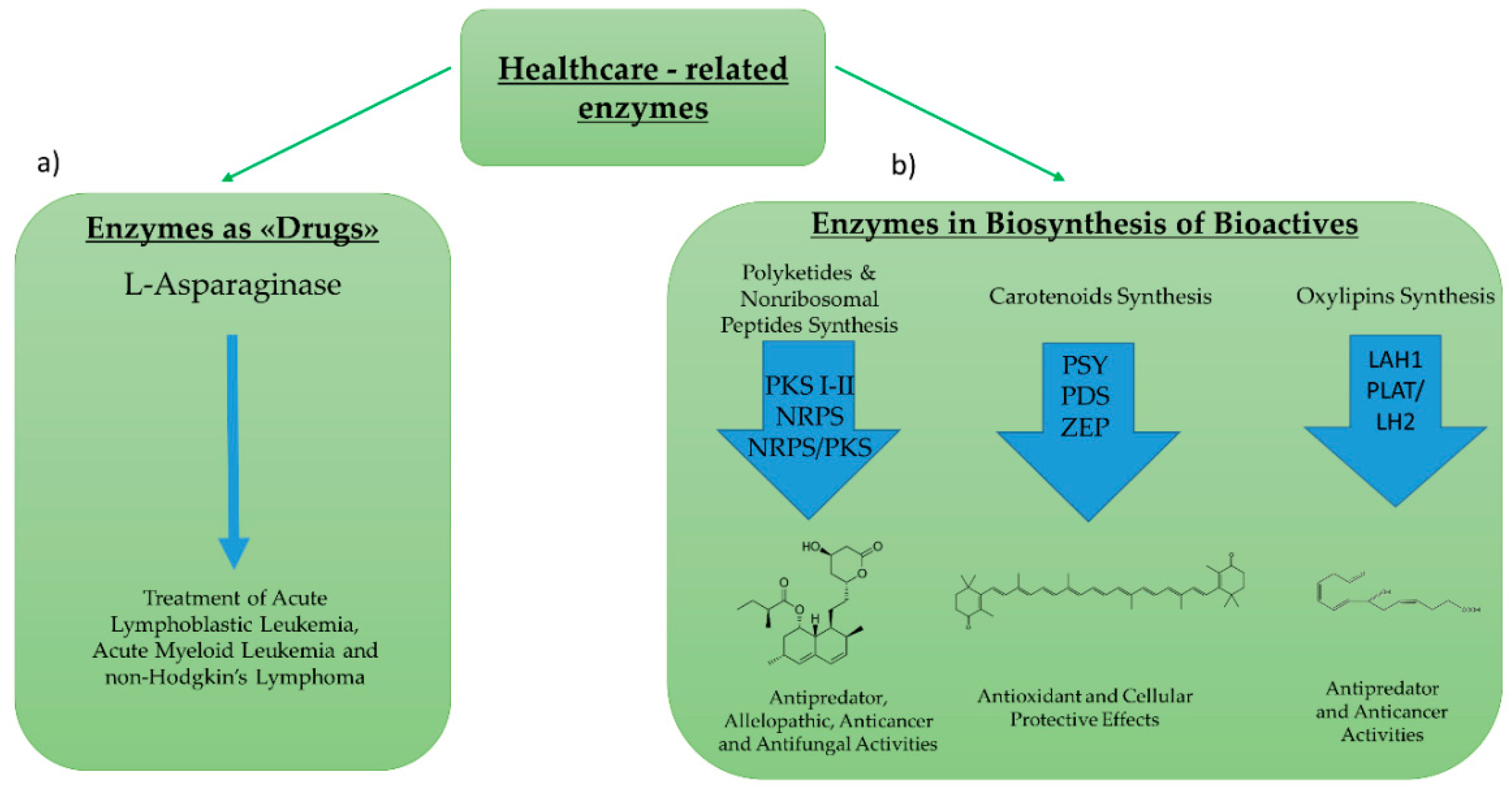 Marinedrugs 17 00459 g004