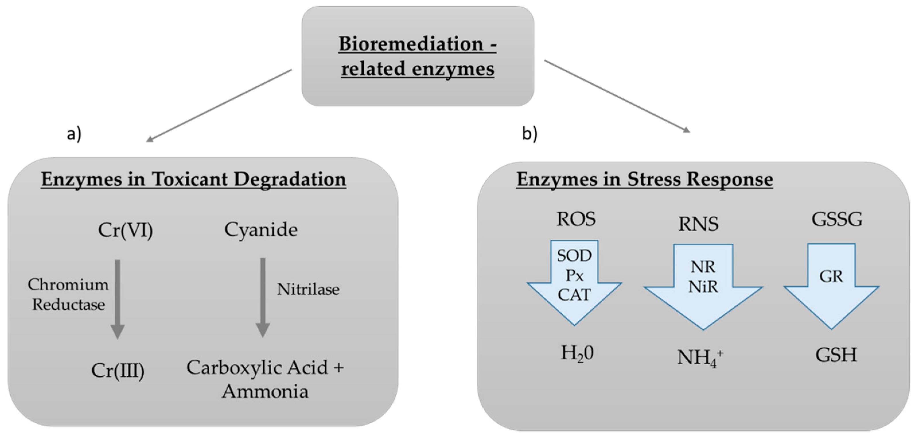 Marinedrugs 17 00459 g005