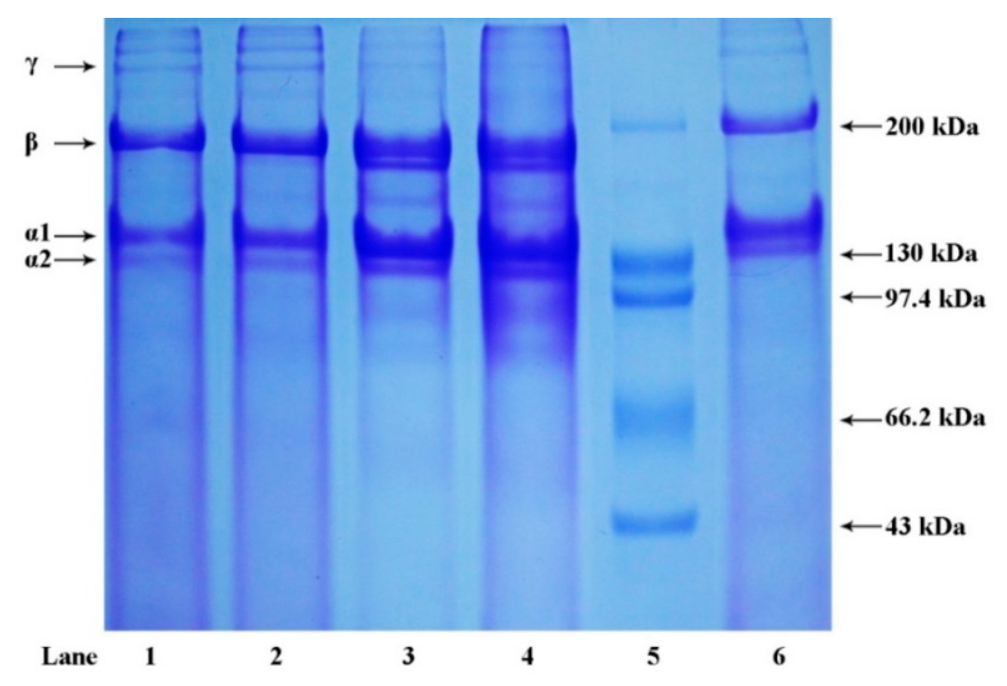 Marinedrugs 17 00462 g002