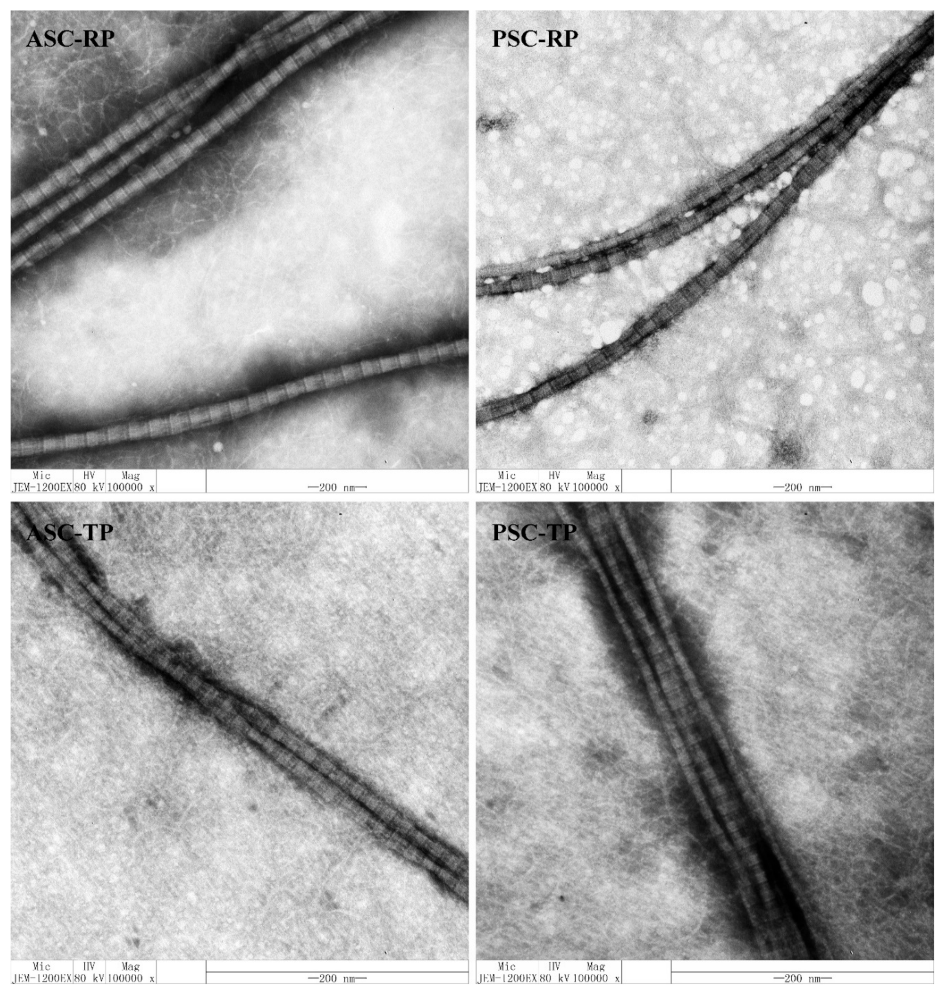 Marinedrugs 17 00462 g007