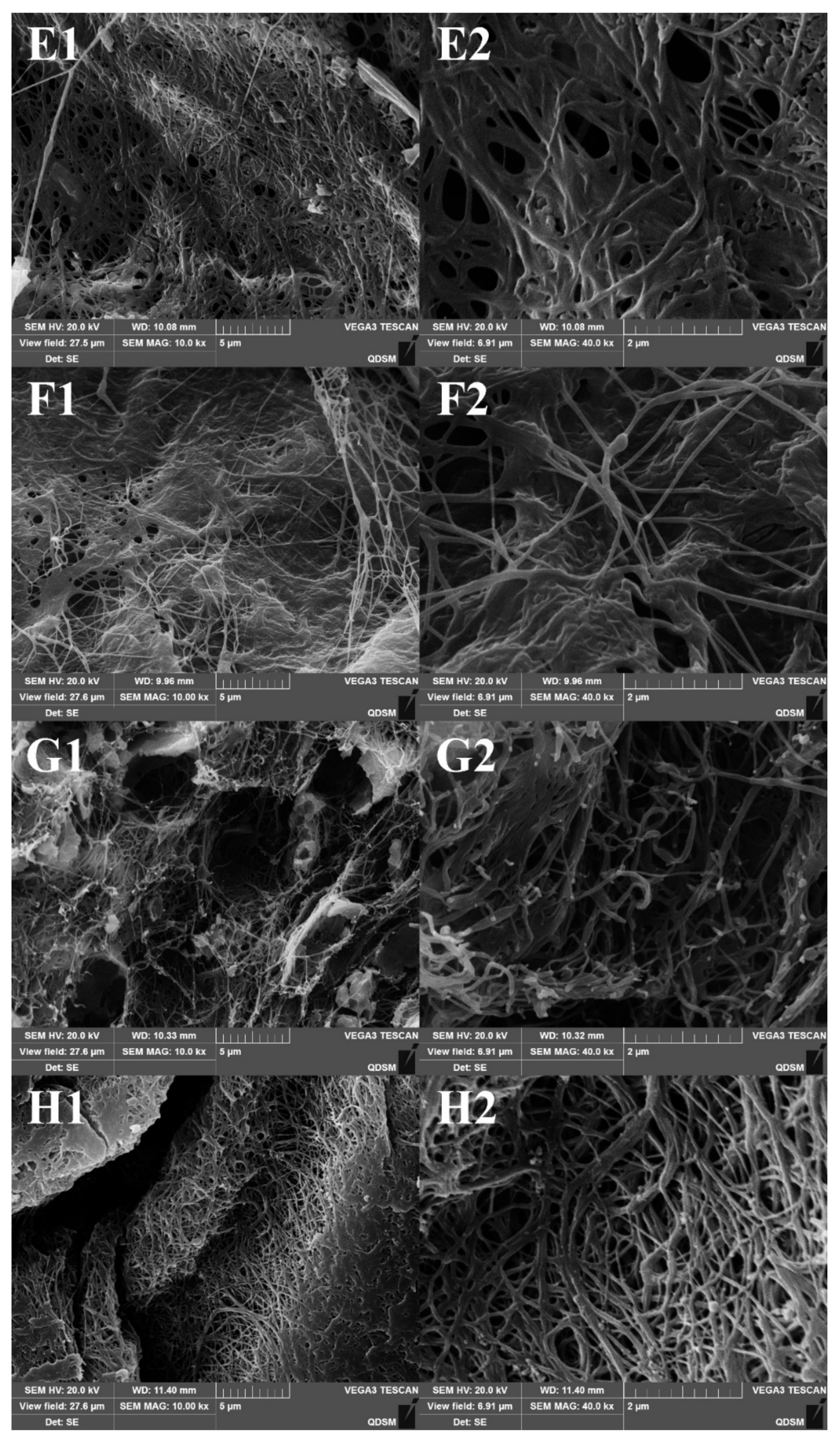 Marinedrugs 17 00462 g008b