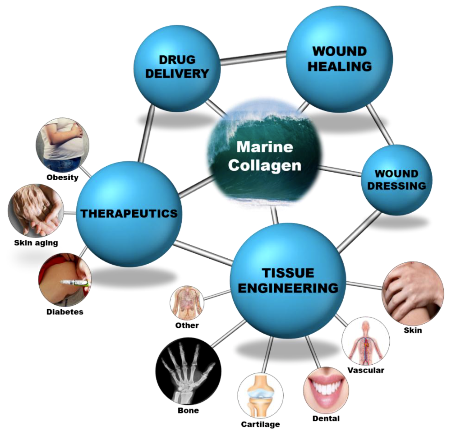 Marinedrugs 17 00467 g004