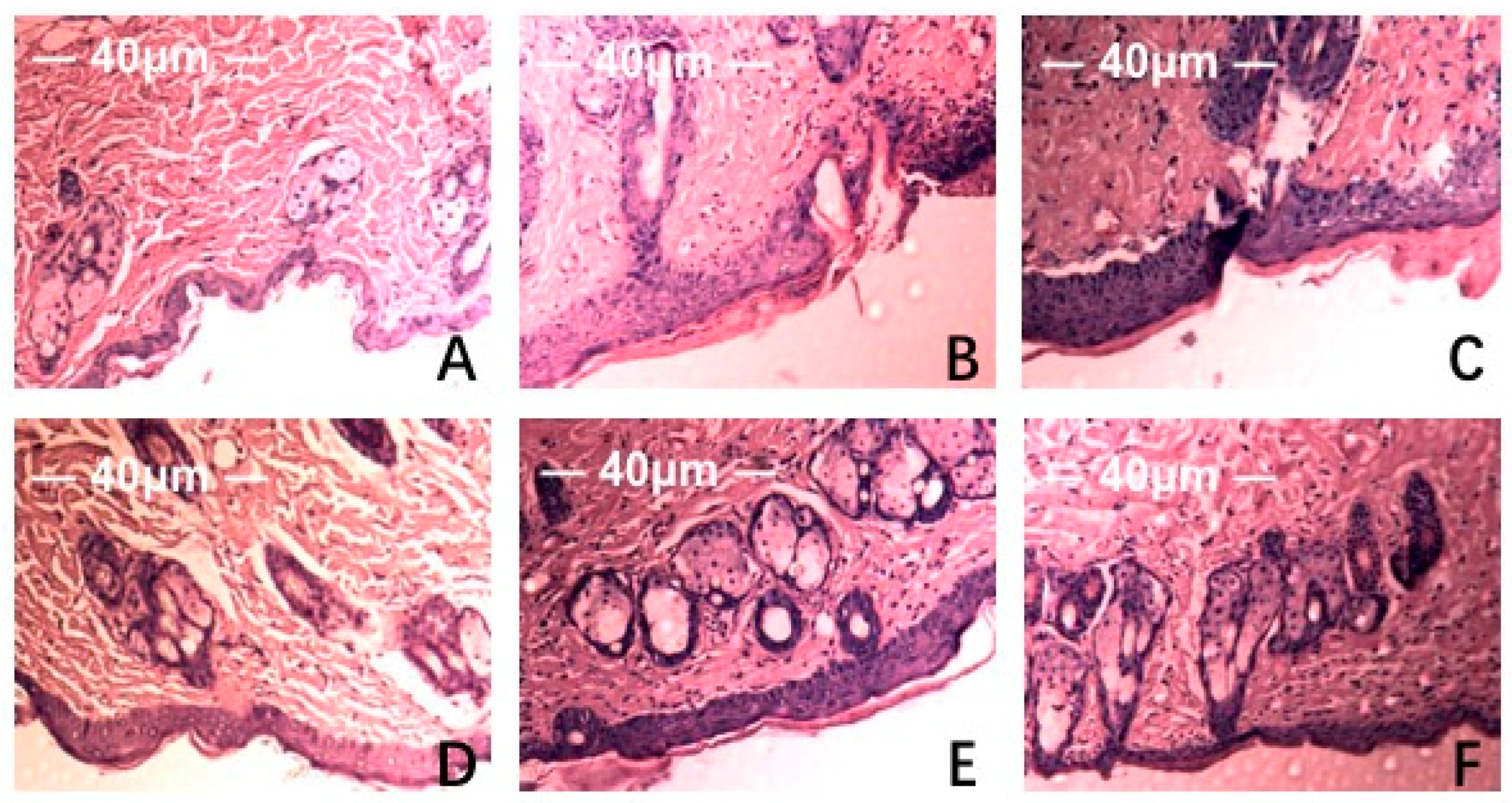 Marinedrugs 17 00470 g005