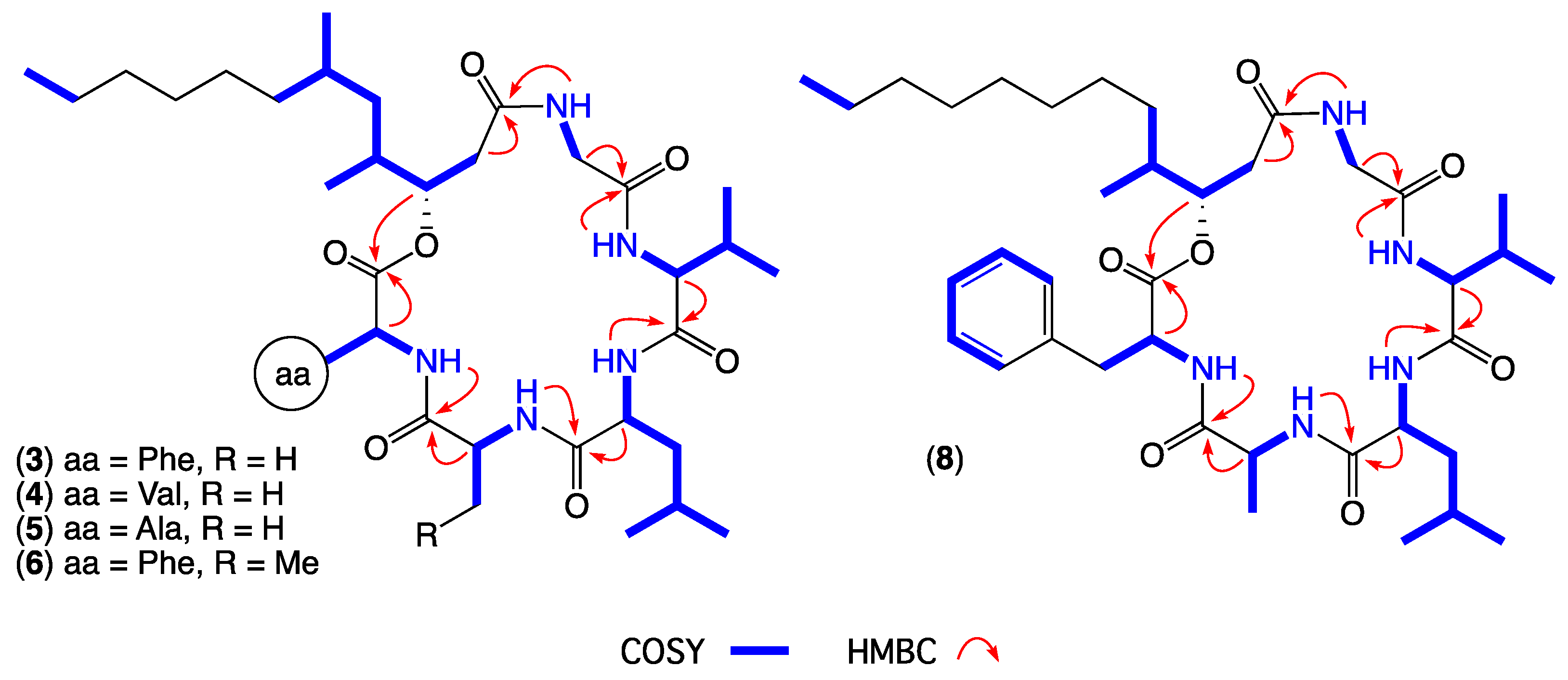 Marinedrugs 17 00475 g006