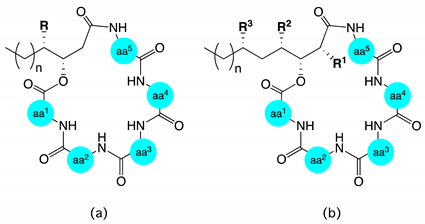 Marinedrugs 17 00475 i002