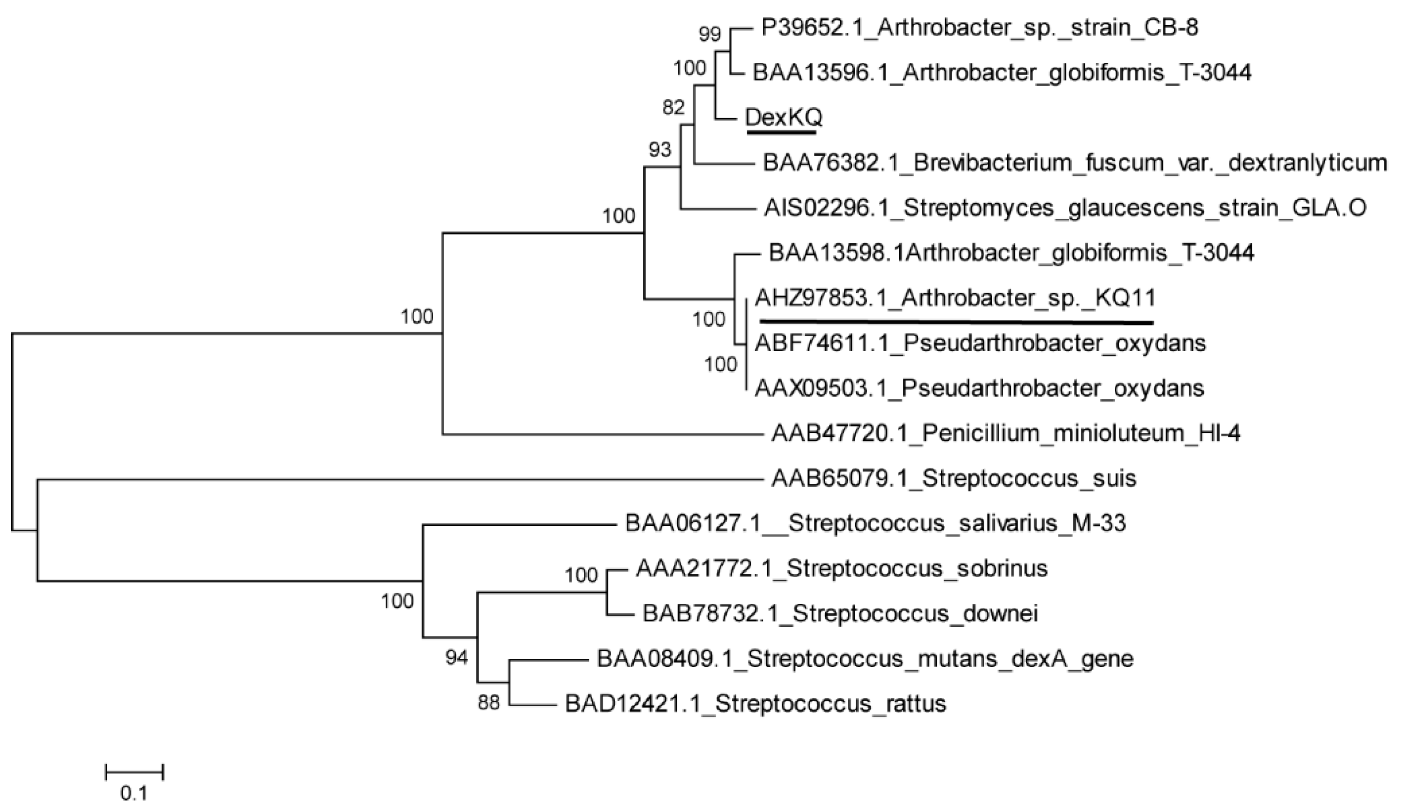 Marinedrugs 17 00479 g001 Marinedrugs 17 00479 g001