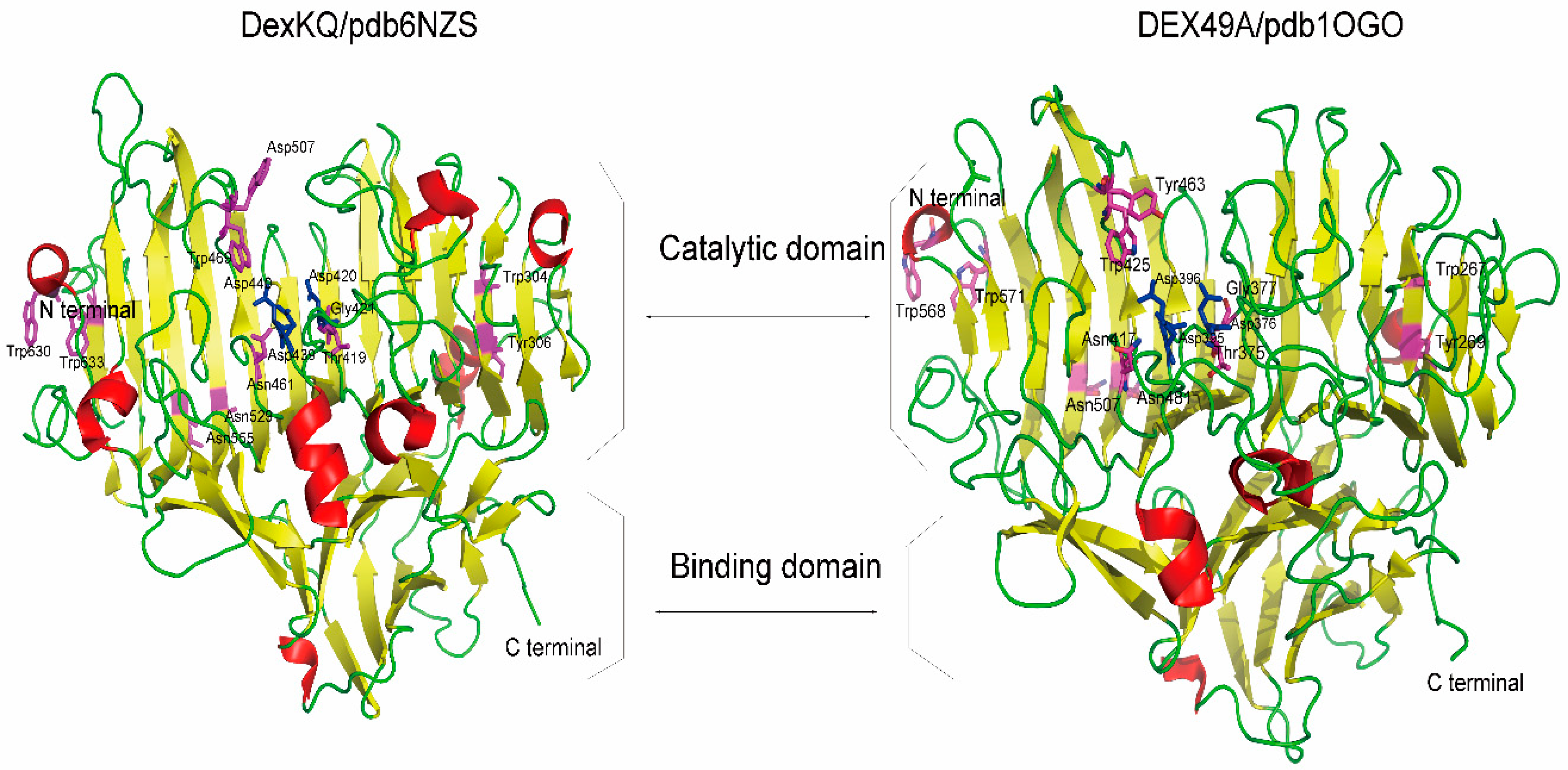 Marinedrugs 17 00479 g002 Marinedrugs 17 00479 g002