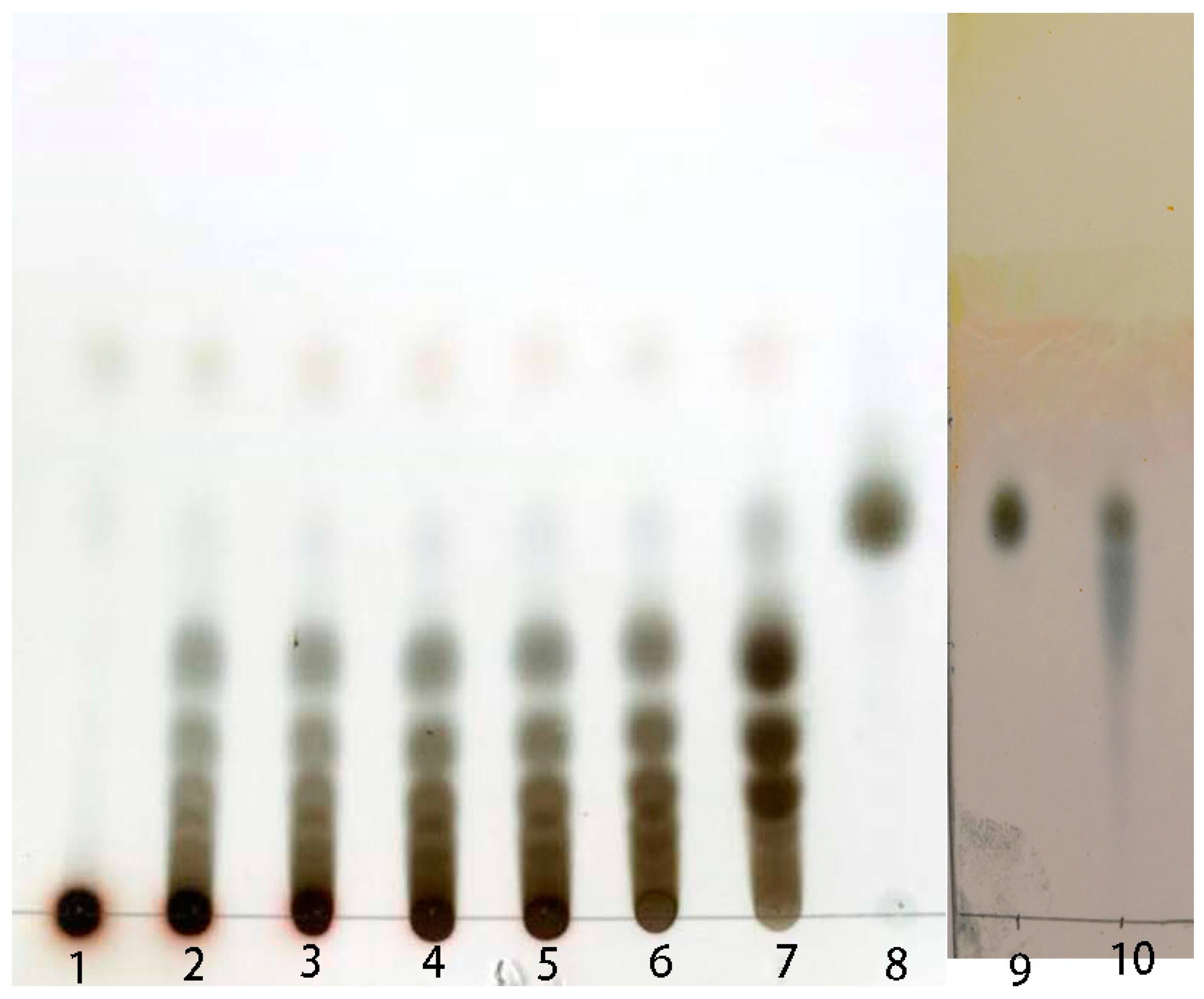 Marinedrugs 17 00479 g008 Marinedrugs 17 00479 g008