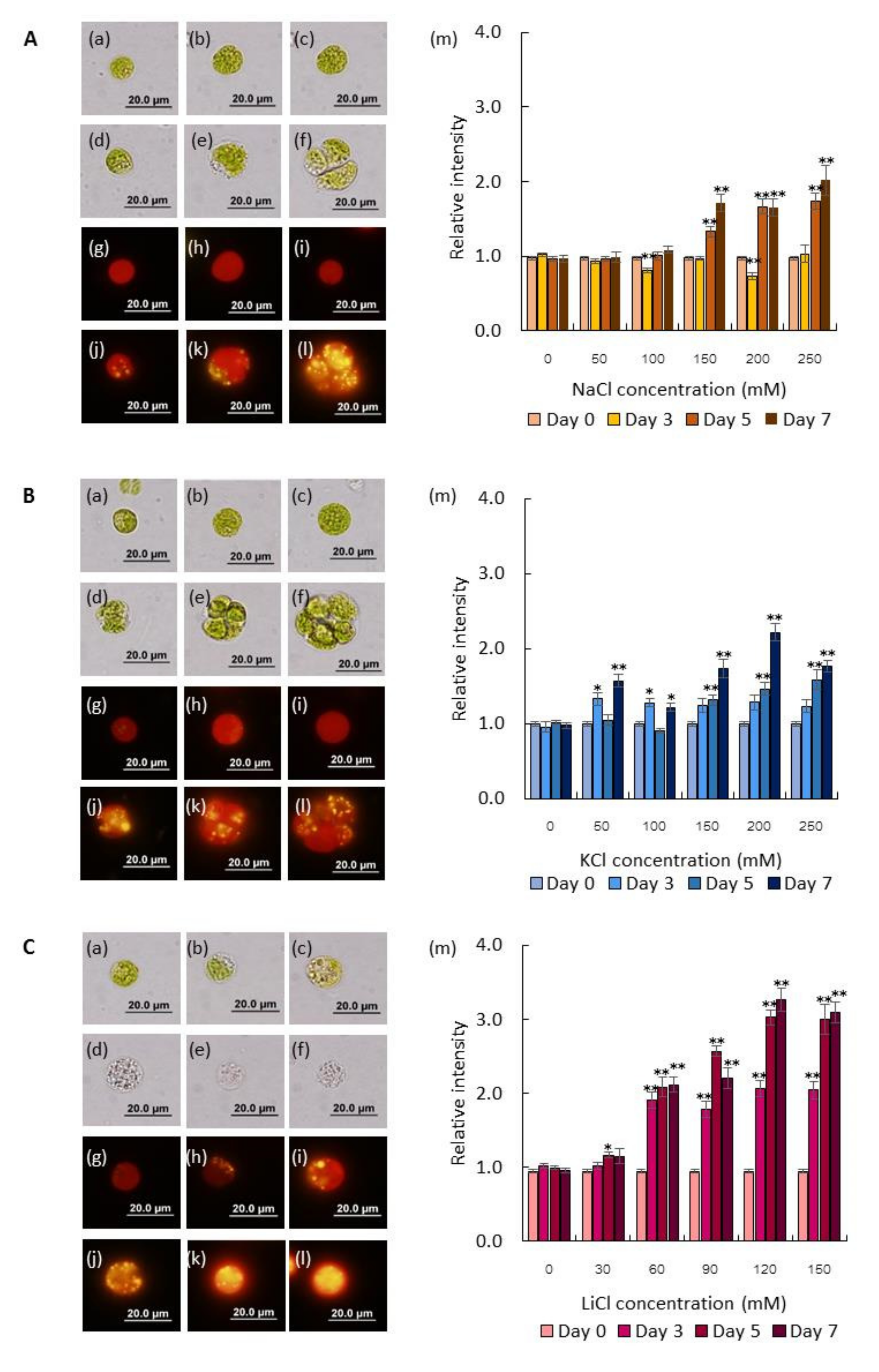 Marinedrugs 17 00484 g001